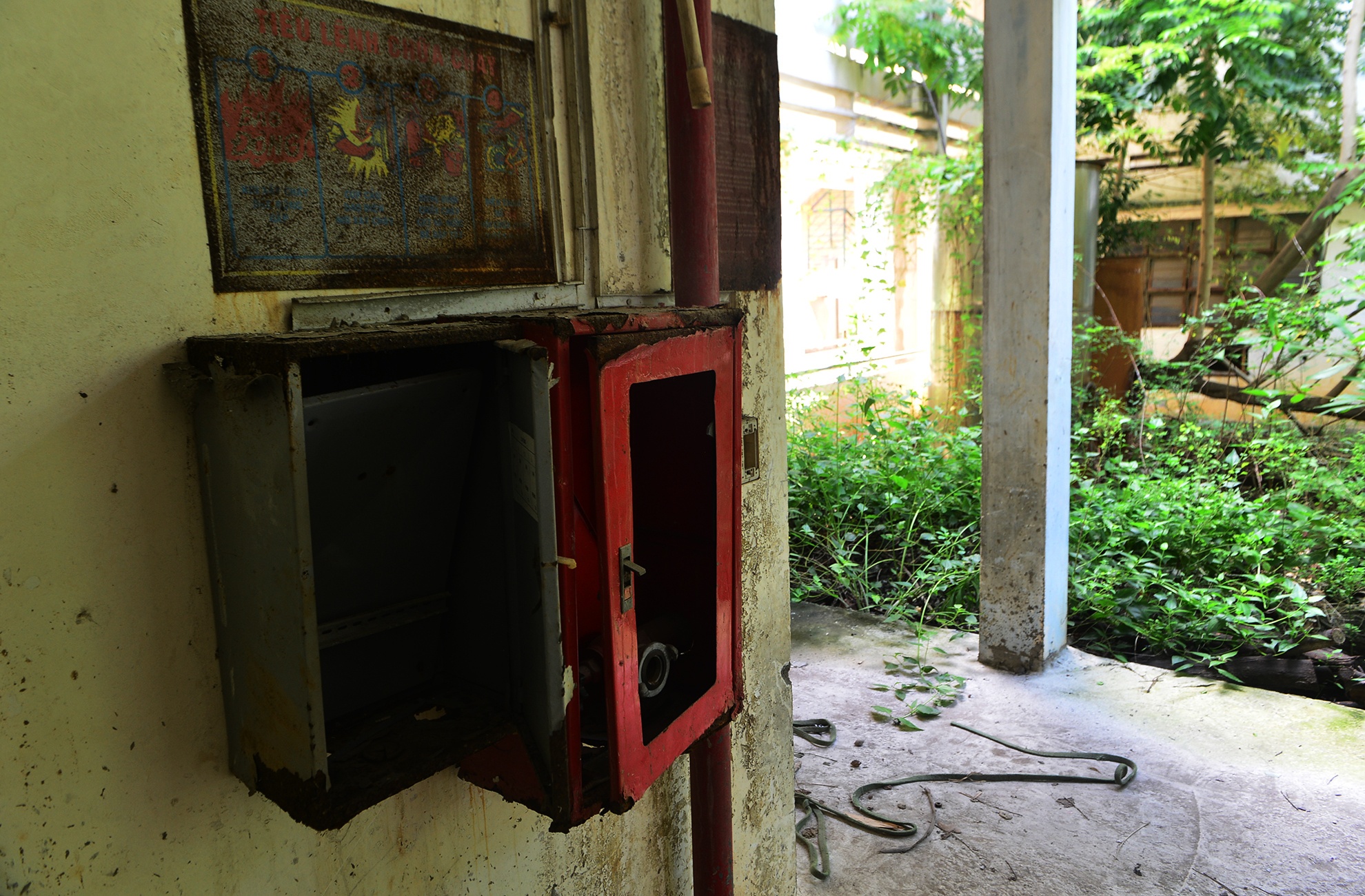 canh u am trong ngoi truong bo hoang o Sai Gon anh 17