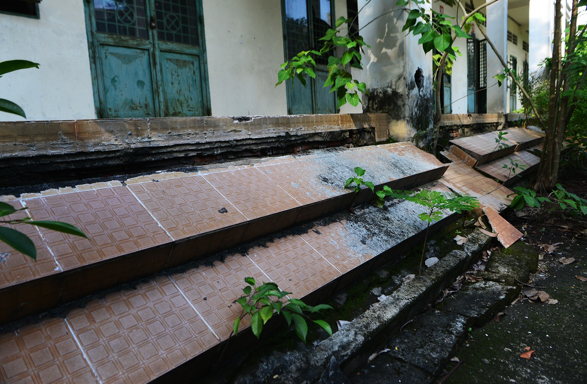 canh u am trong ngoi truong bo hoang o Sai Gon anh 4