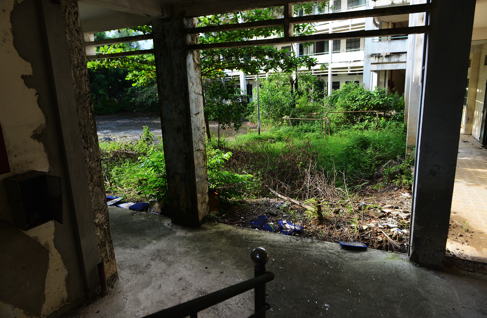 canh u am trong ngoi truong bo hoang o Sai Gon anh 8