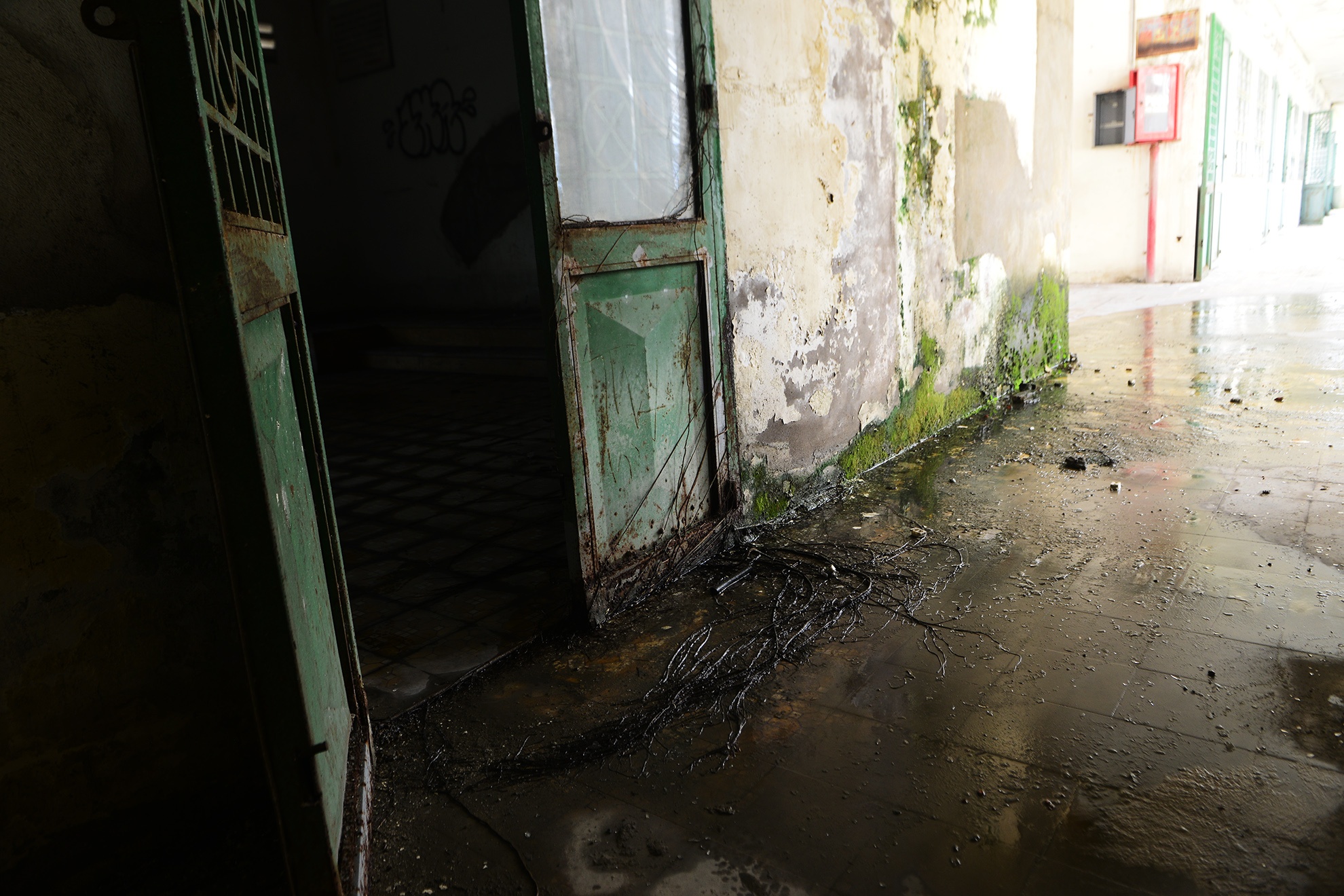 canh u am trong ngoi truong bo hoang o Sai Gon anh 7