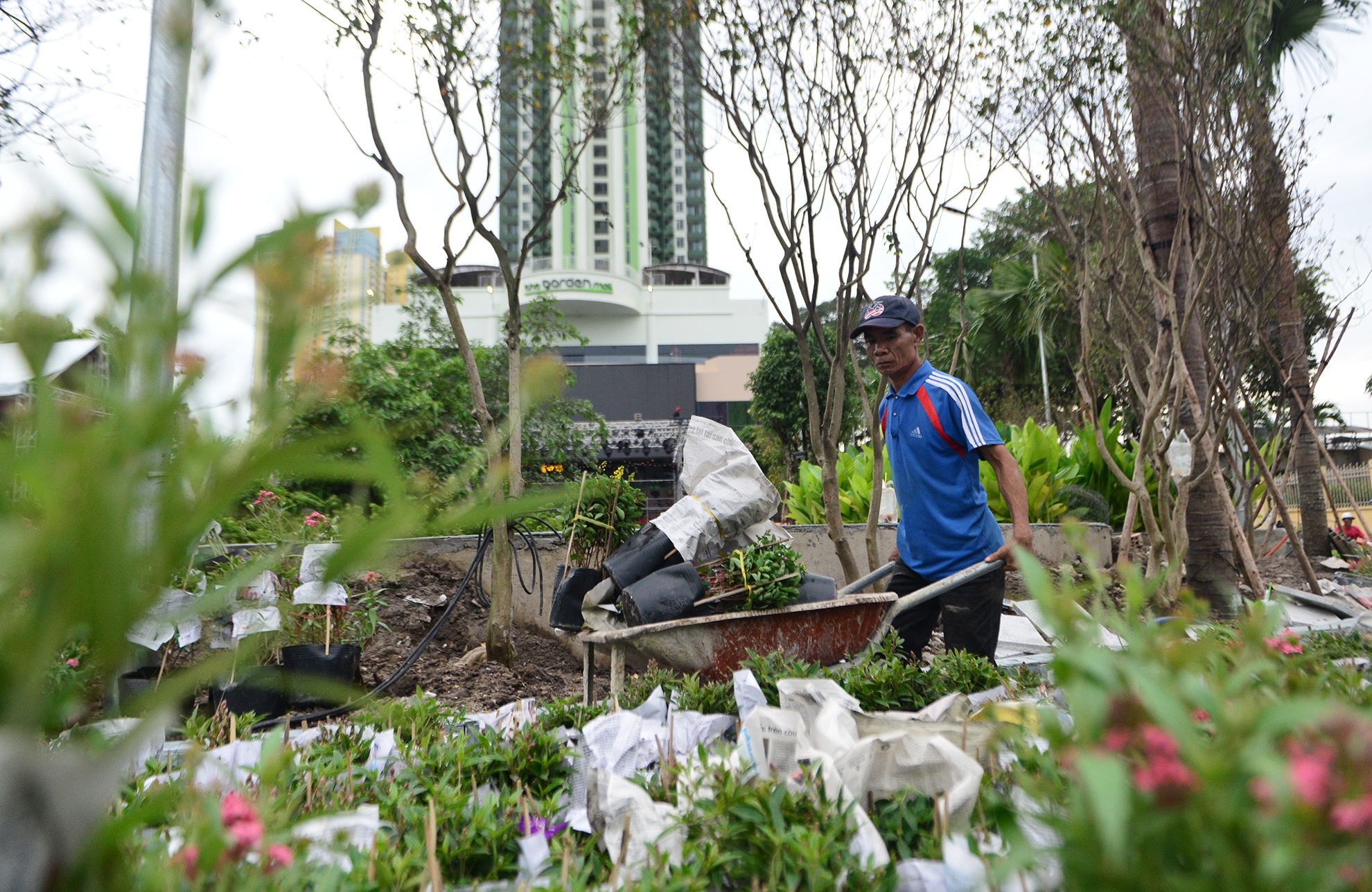 Thuan Kieu Plaza lot xac ngoan muc anh 18