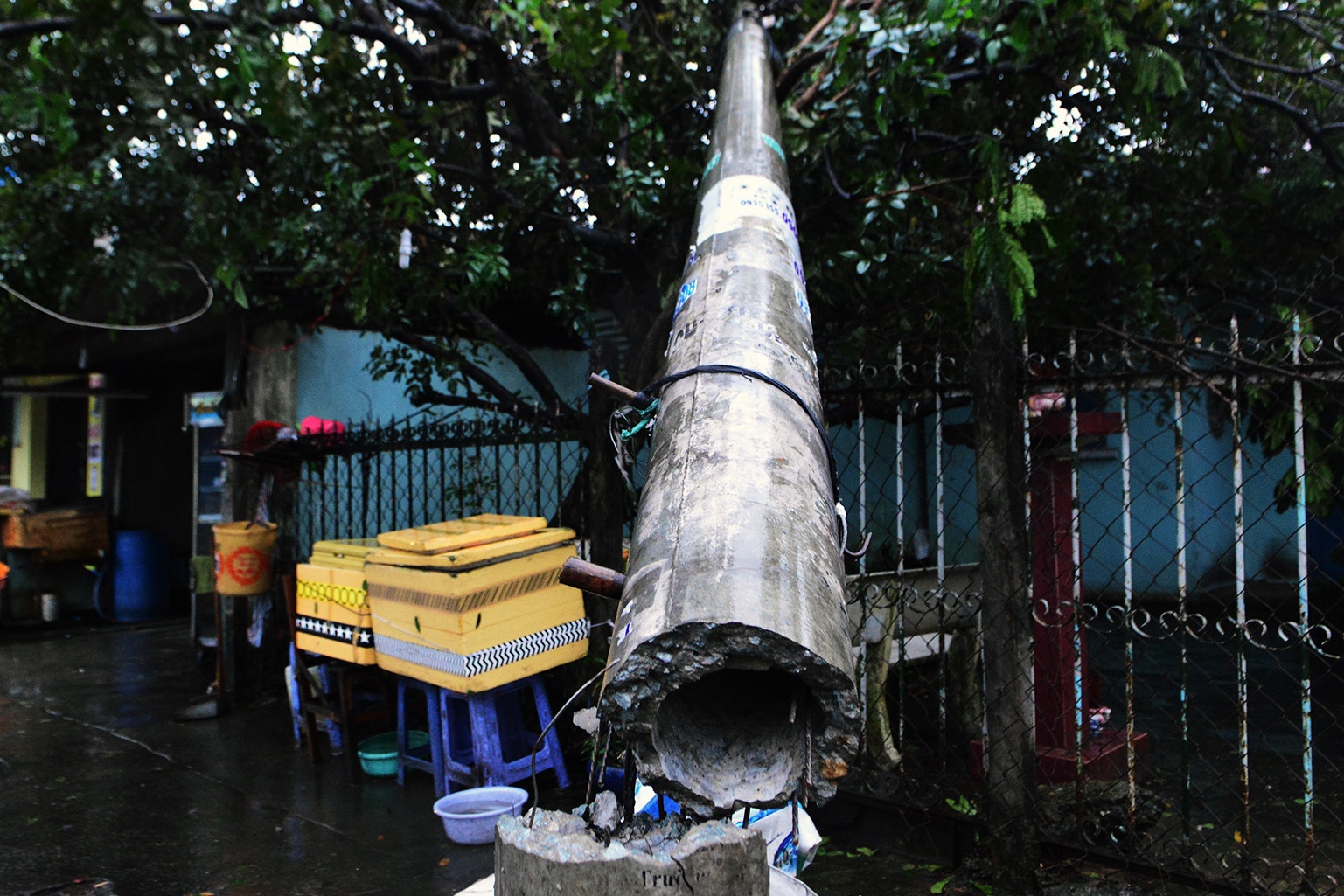 Tru dien, cay xanh gay do hang loat sau tran loc xoay ap vao Sai Gon hinh anh