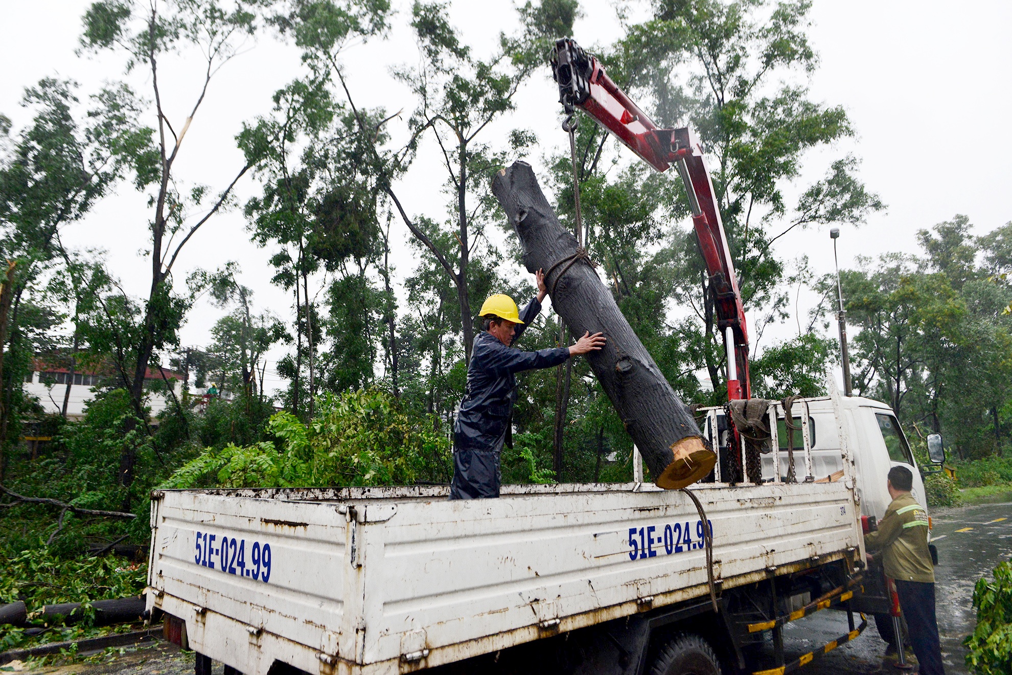 Hang tram cay xanh bi gay do do loc xoay o Sai Gon anh 6