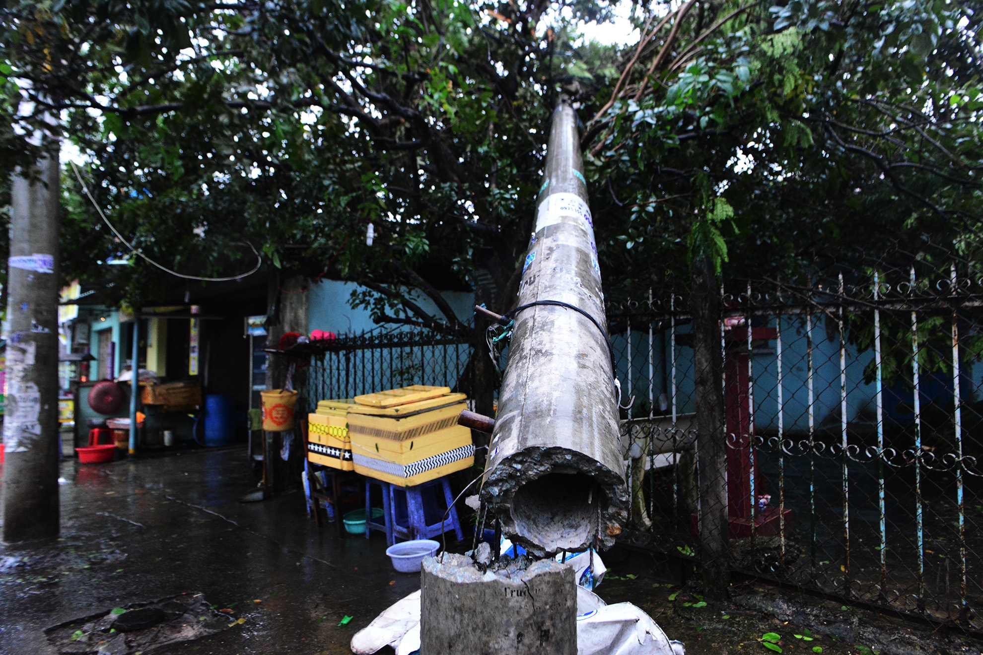 Hang tram cay xanh bi gay do do loc xoay o Sai Gon anh 8