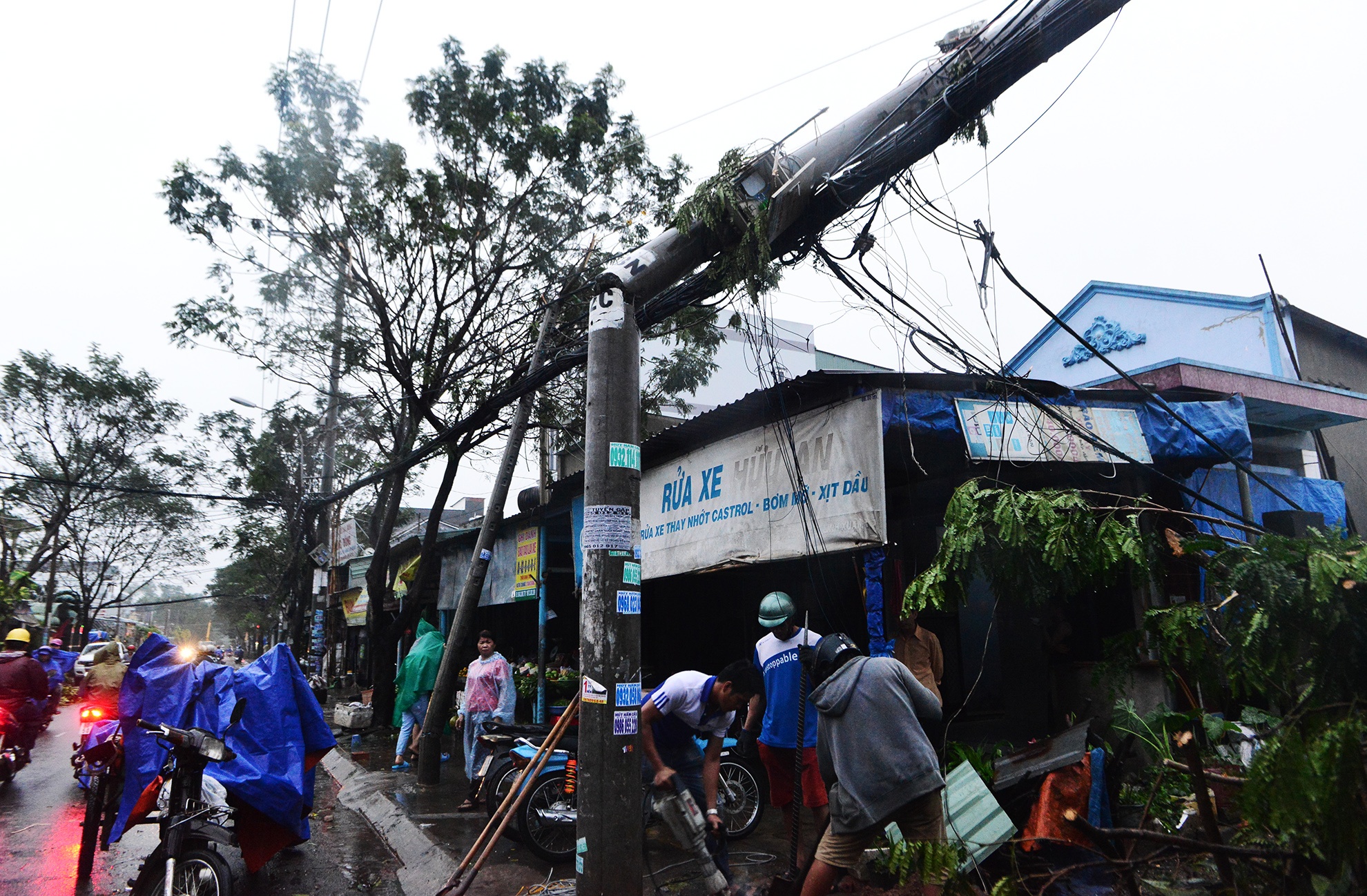 Hang tram cay xanh bi gay do do loc xoay o Sai Gon anh 9