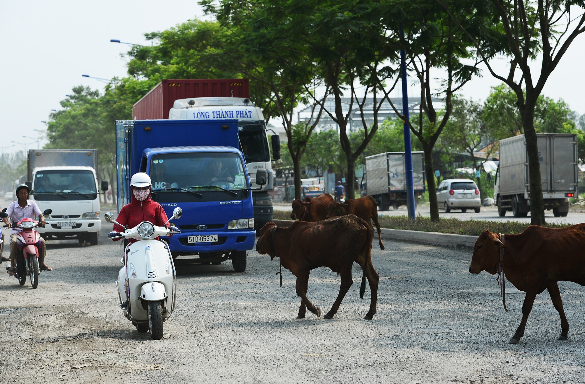 Can canh tuyen duong hong do khong co xe luu thong anh 15