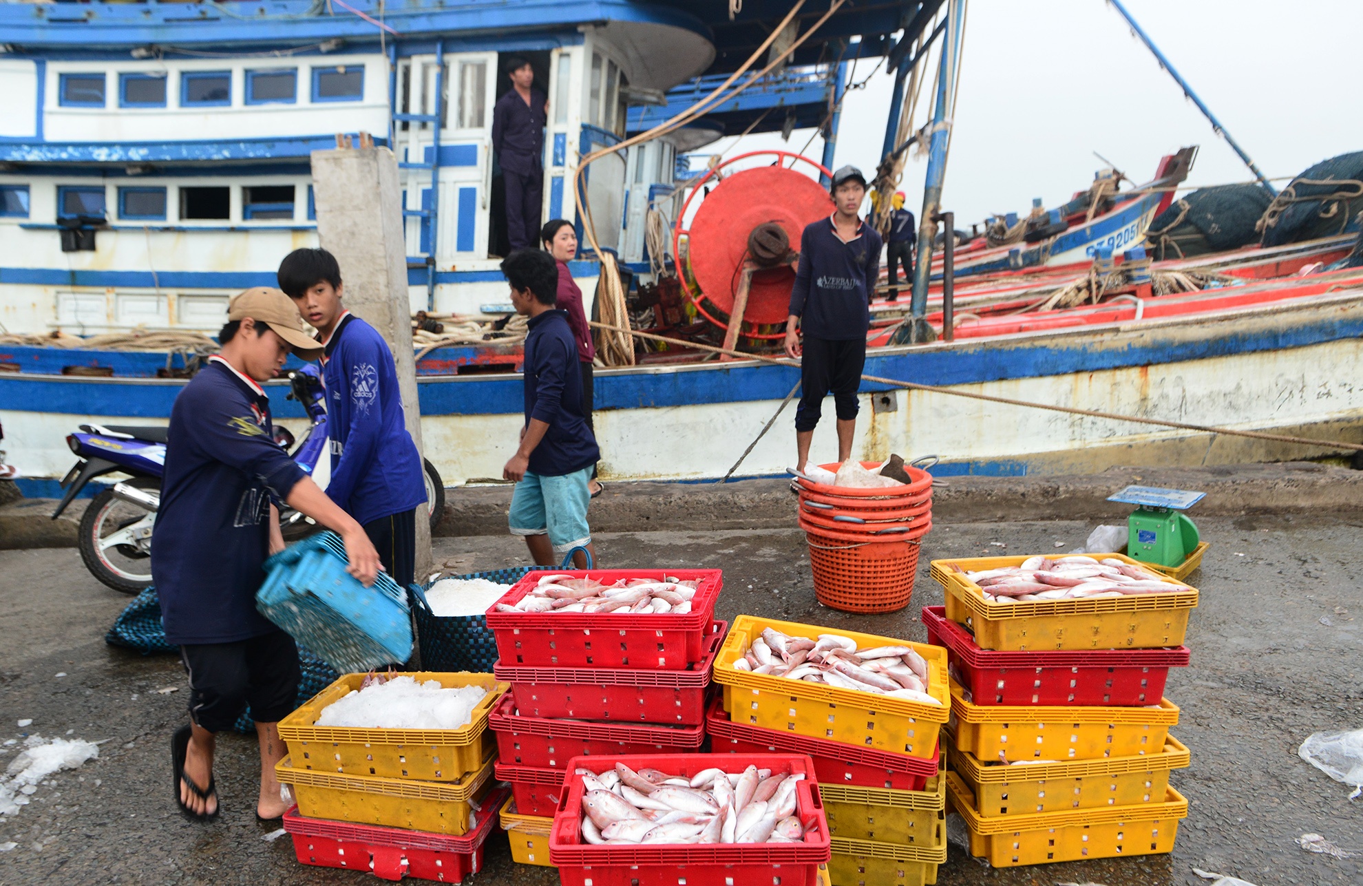 bao Tembin do bo vao mien Tay anh 13