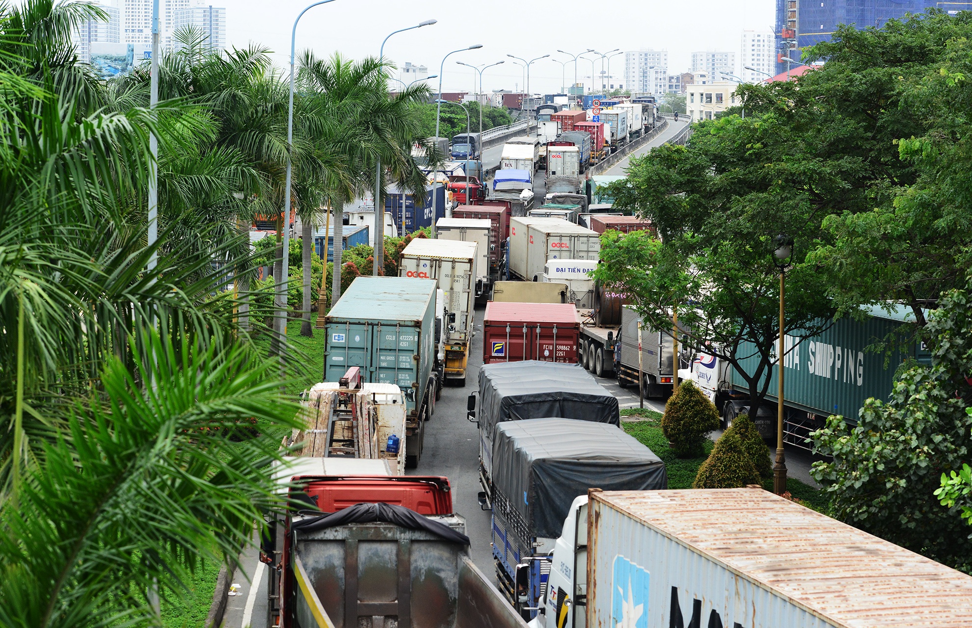 Toa canh giao thong vao cang Cat Lai anh 26