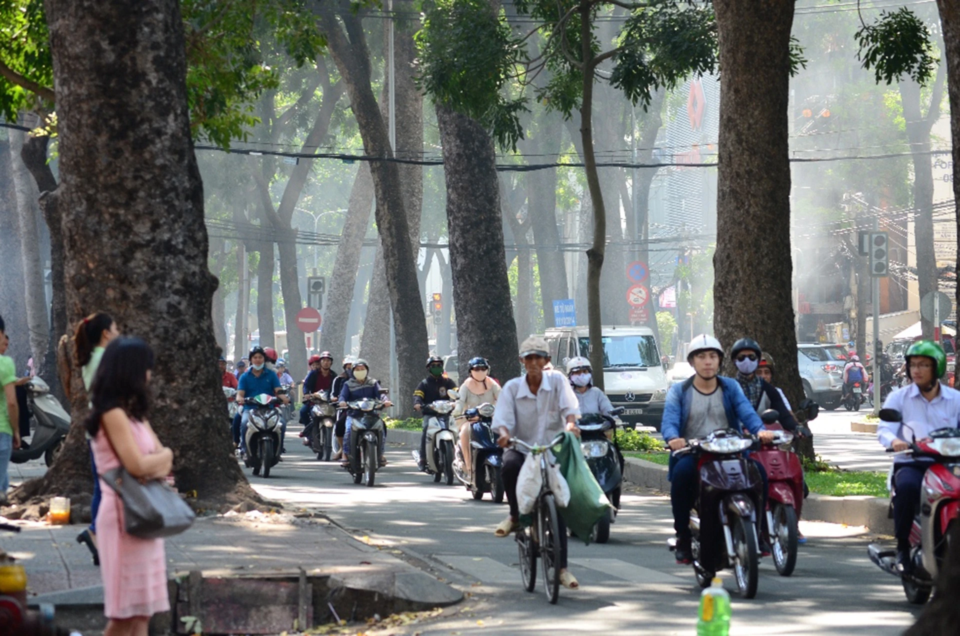 hang cay duong Ton Duc Thang truoc va sau khi don anh 19