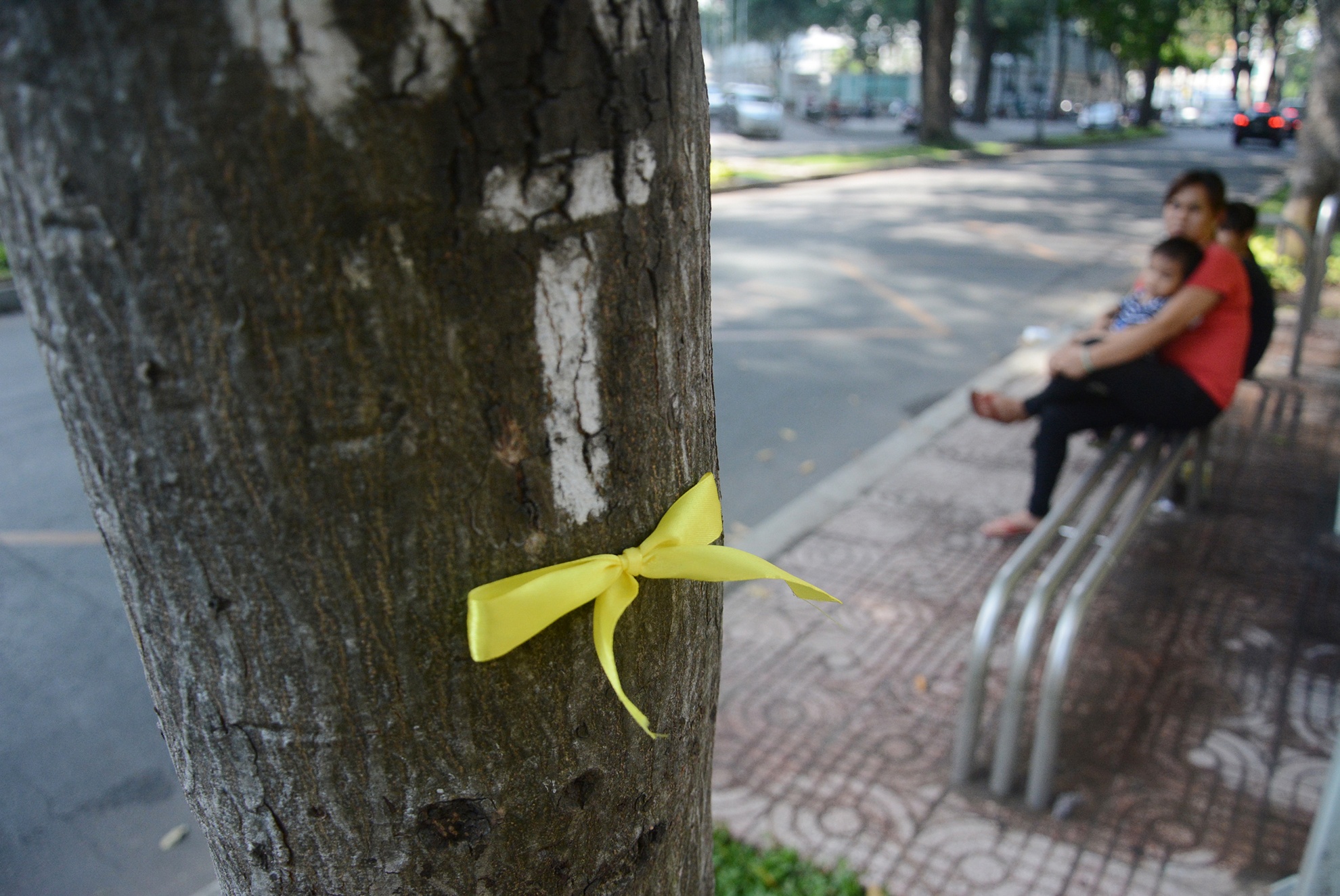 hang cay duong Ton Duc Thang truoc va sau khi don anh 23