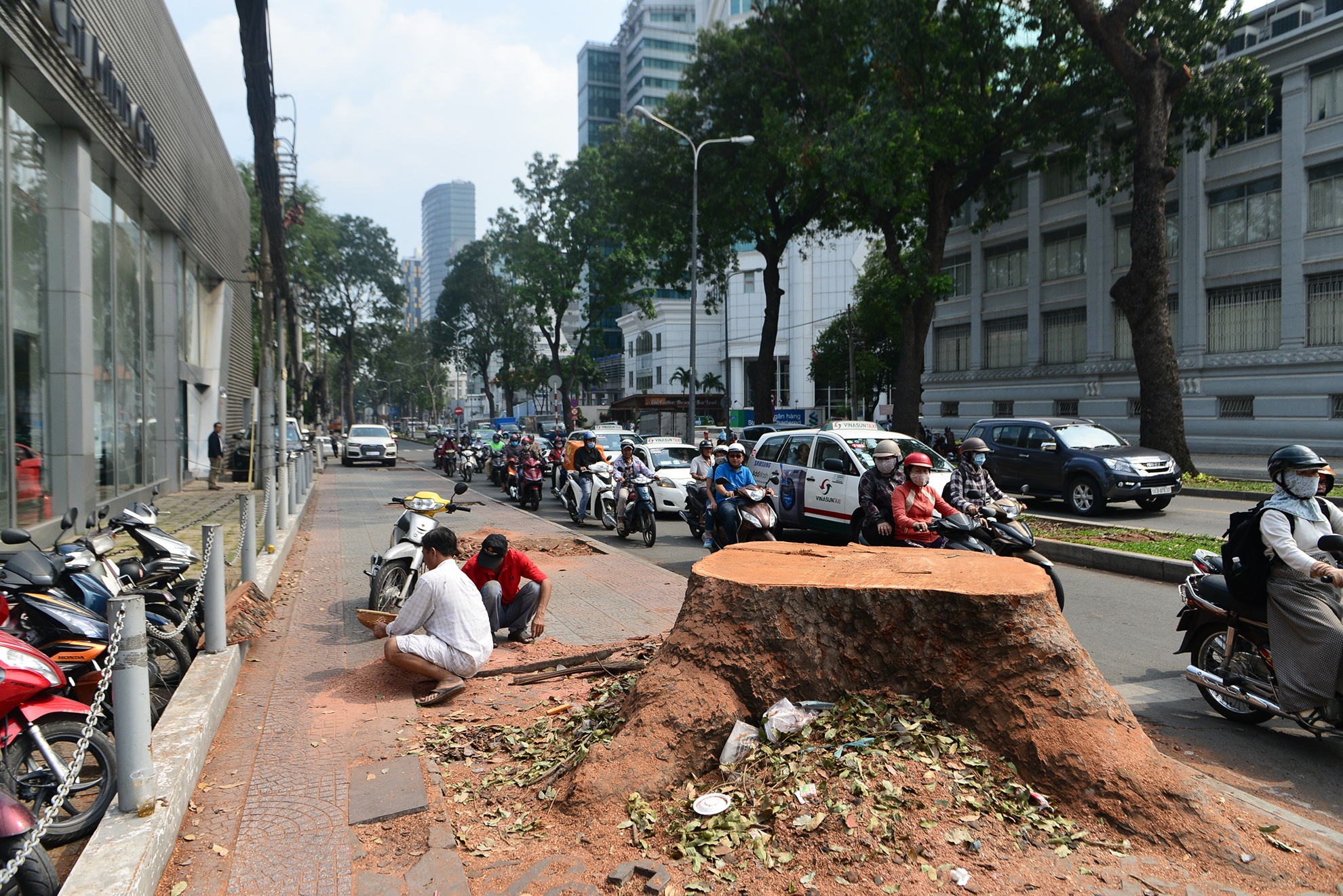 hang cay duong Ton Duc Thang truoc va sau khi don anh 28