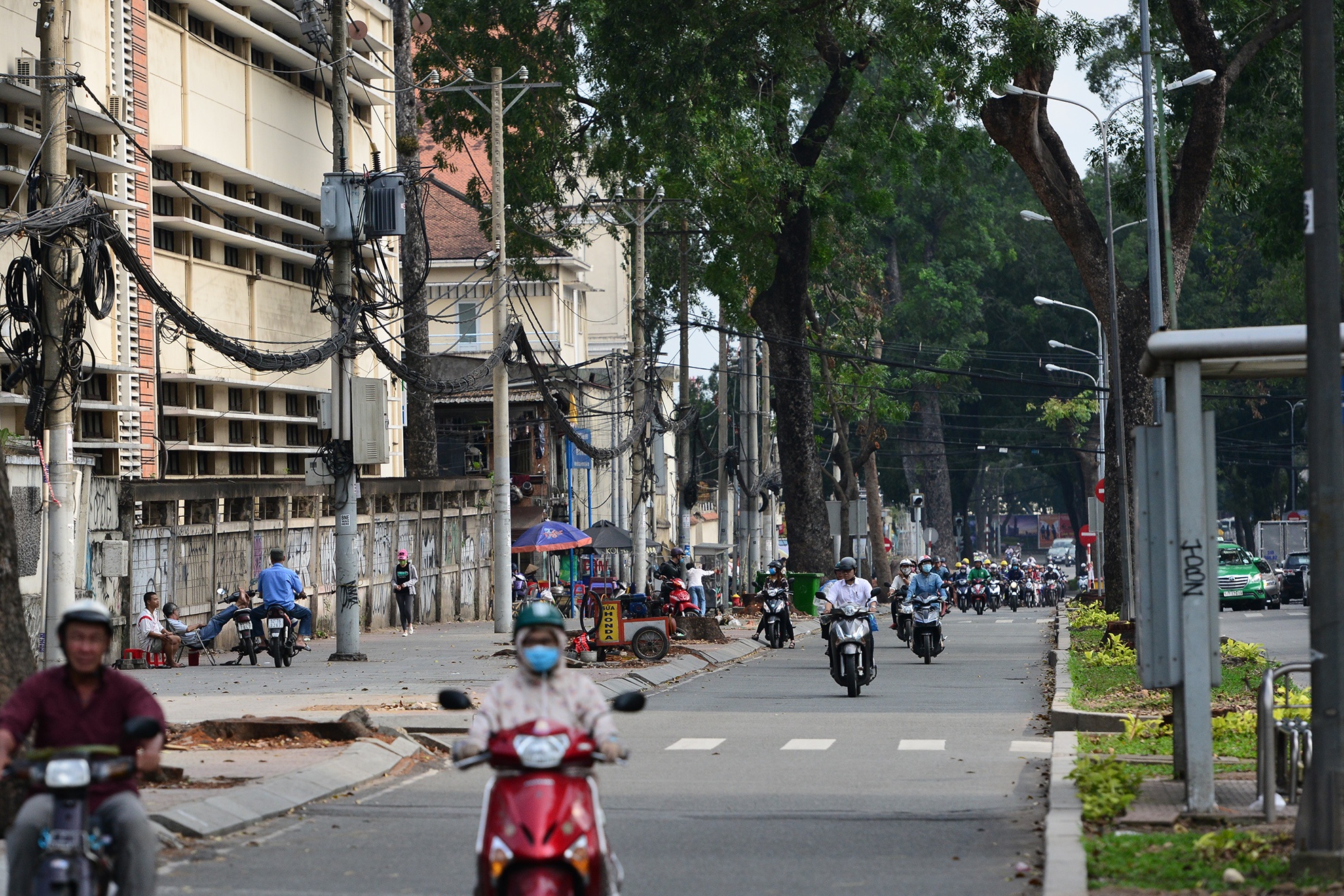 hang cay duong Ton Duc Thang truoc va sau khi don anh 14