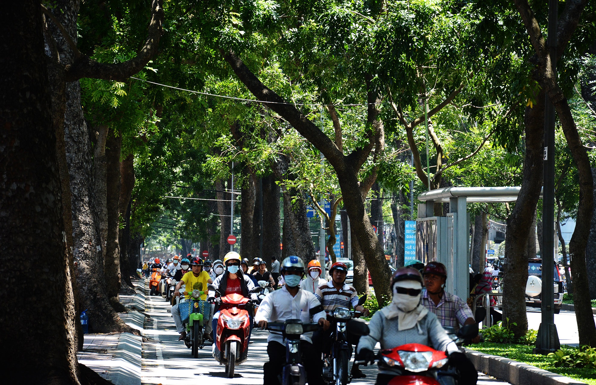 hang cay duong Ton Duc Thang truoc va sau khi don anh 15