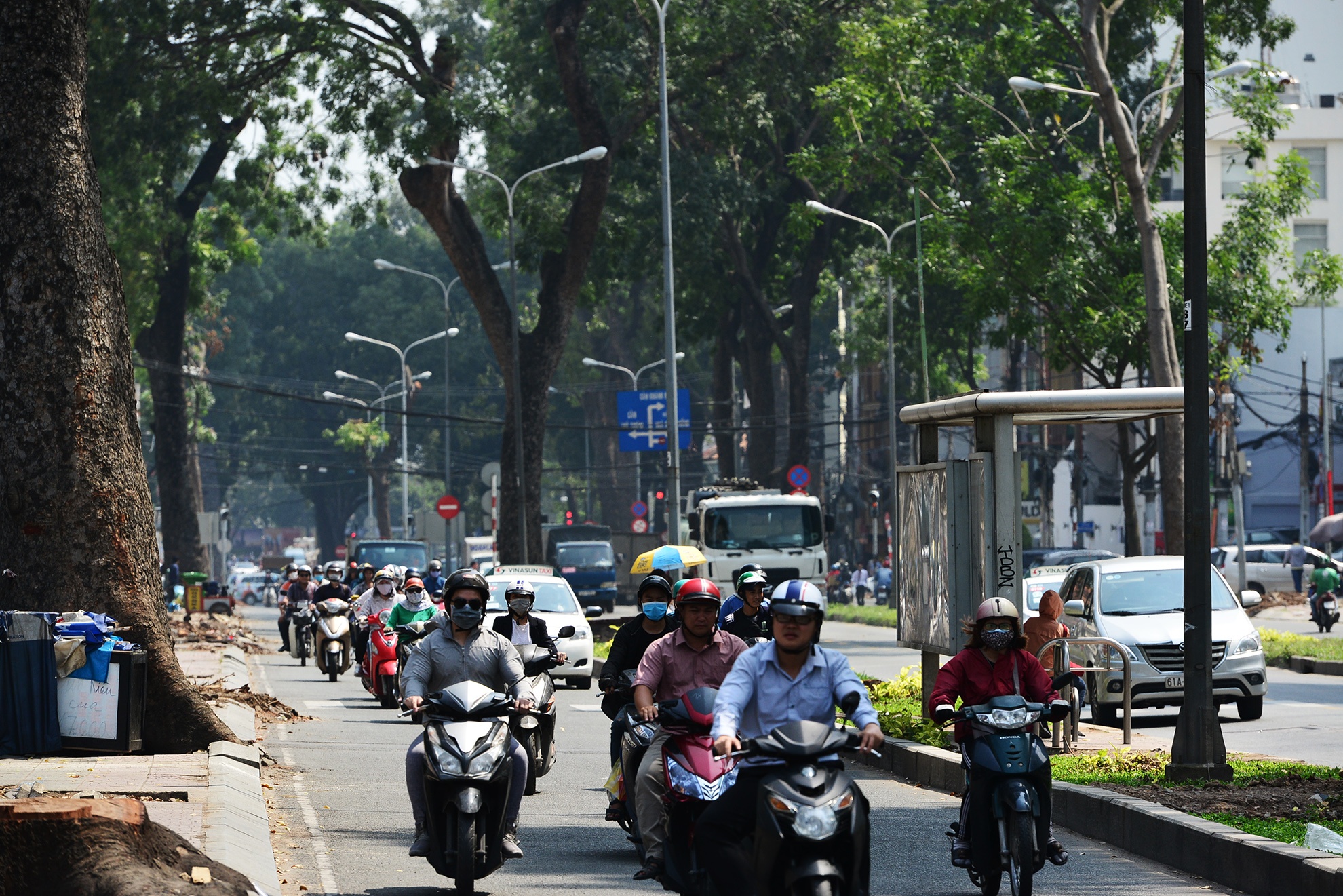 hang cay duong Ton Duc Thang truoc va sau khi don anh 16