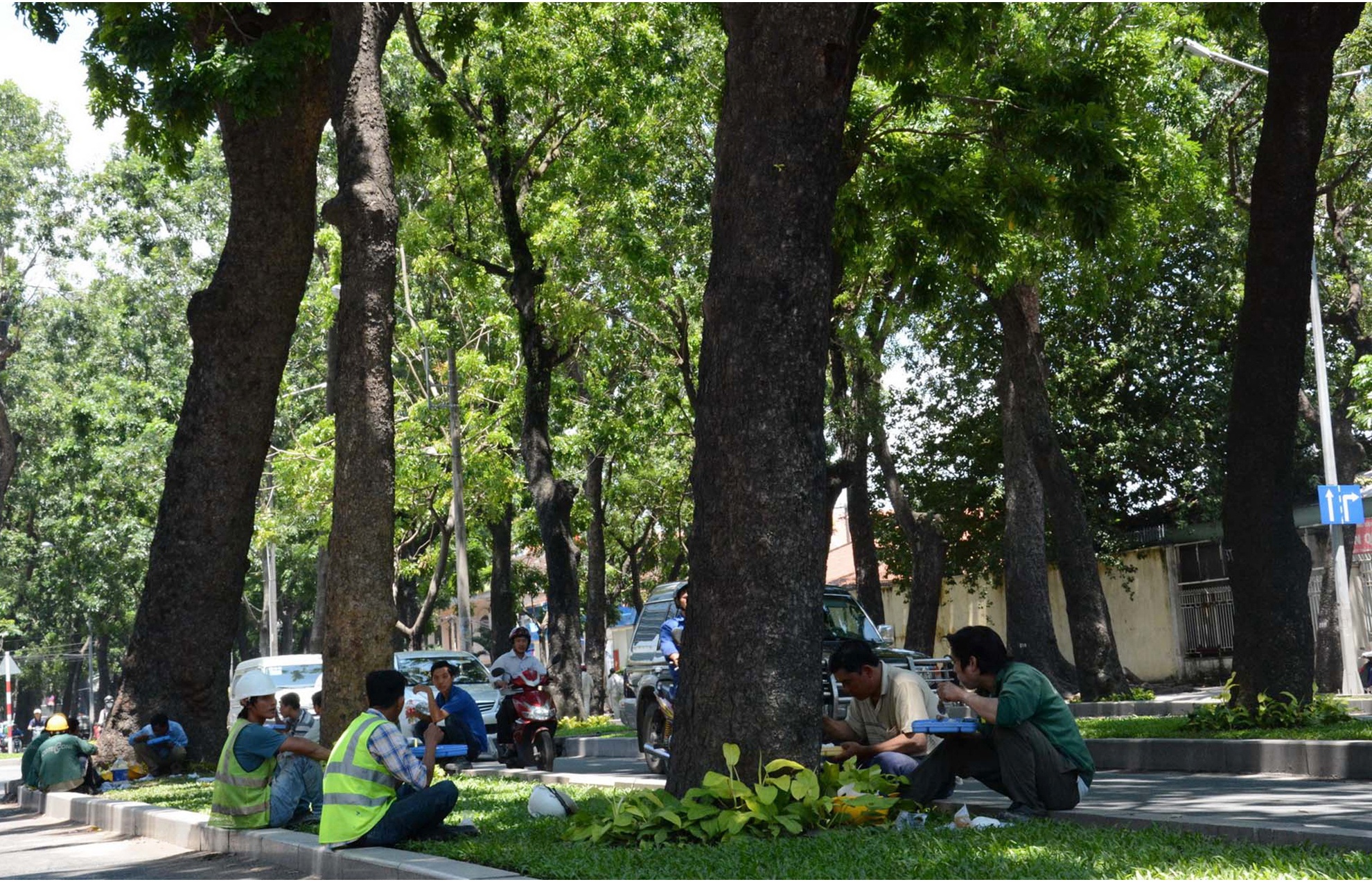 hang cay duong Ton Duc Thang truoc va sau khi don anh 35