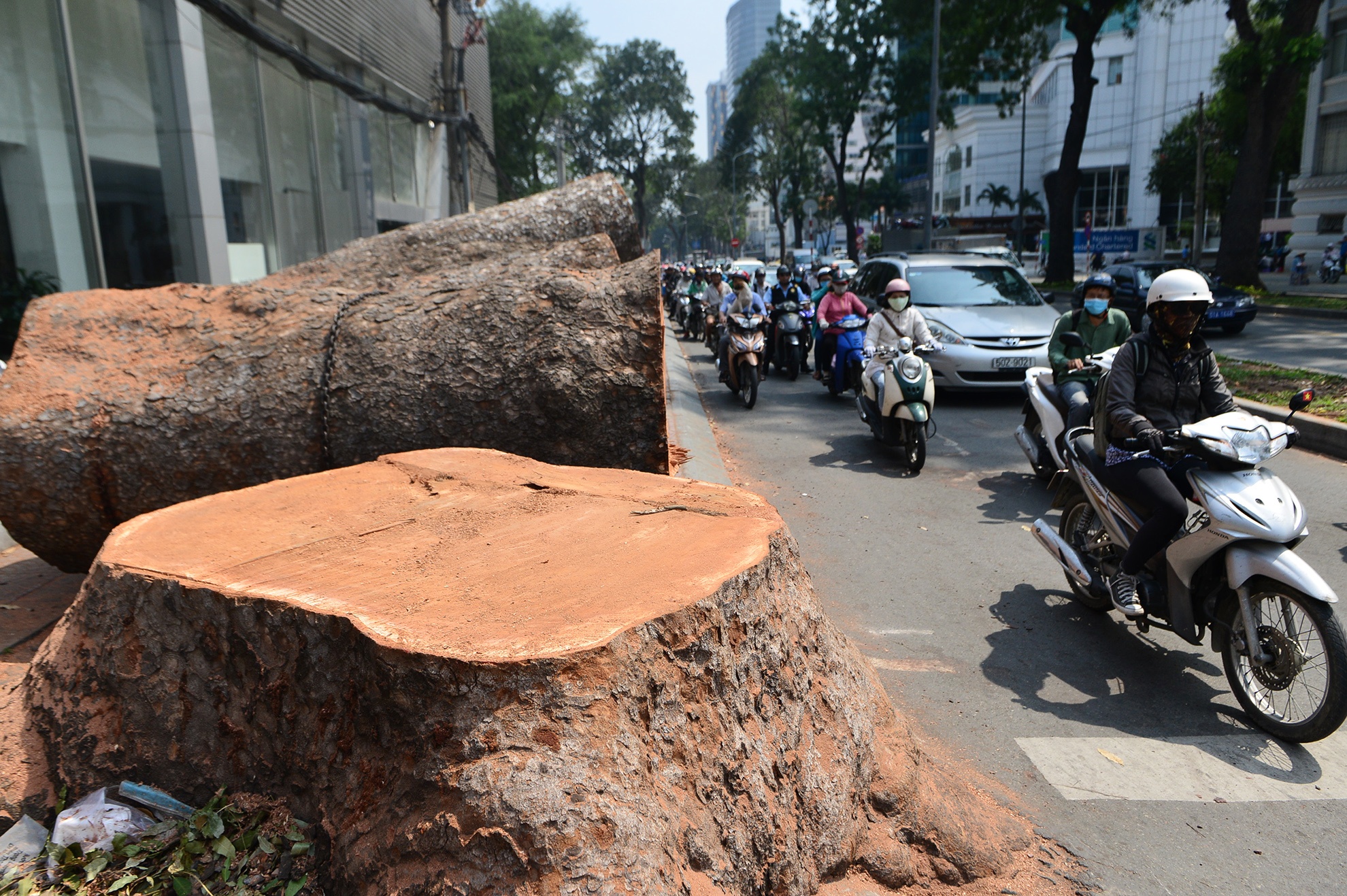 Duong Ton Duc Thang thay doi bat ngo sau khi hang co thu bi don ha hinh anh