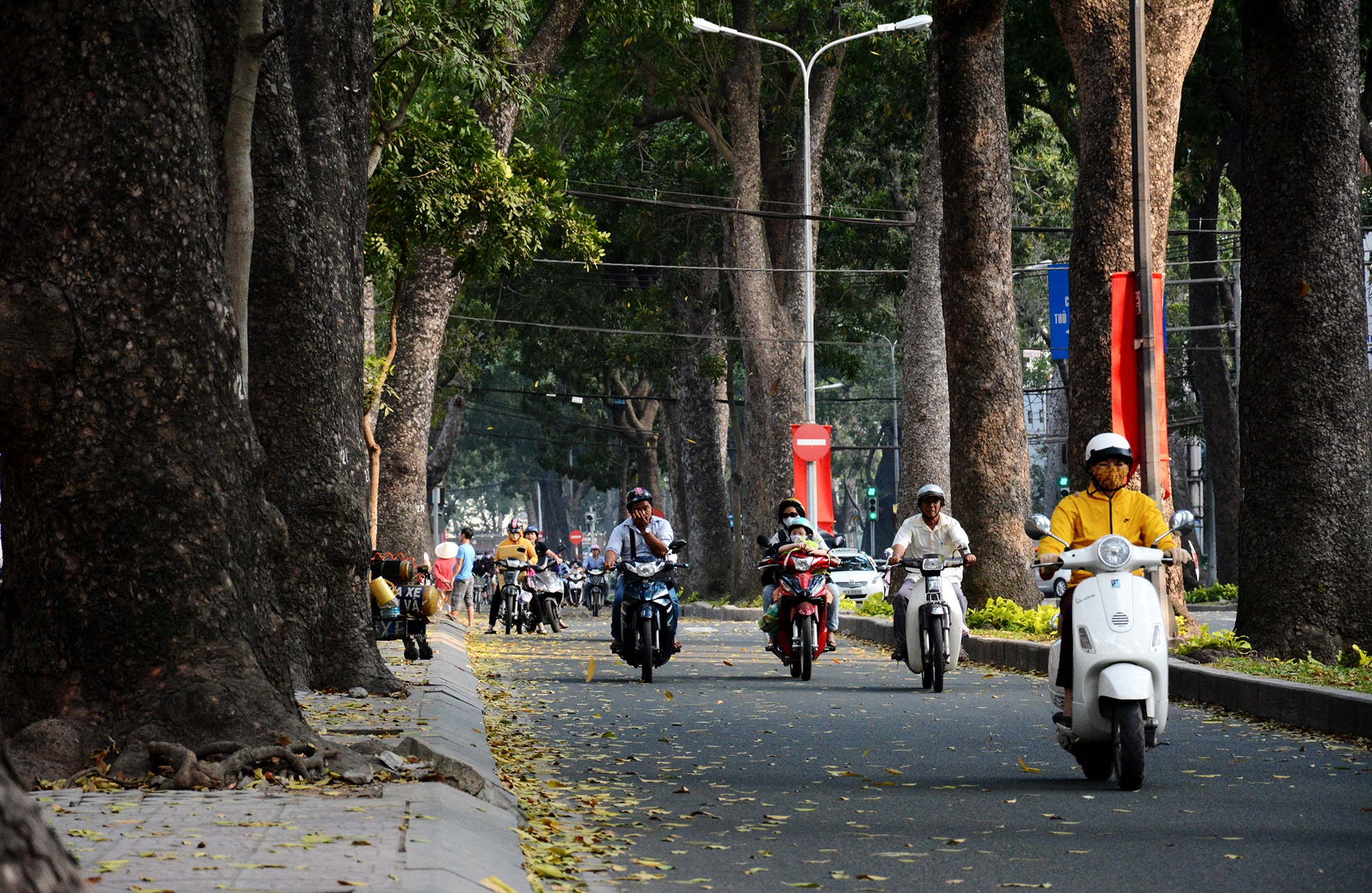 hang cay duong Ton Duc Thang truoc va sau khi don anh 7