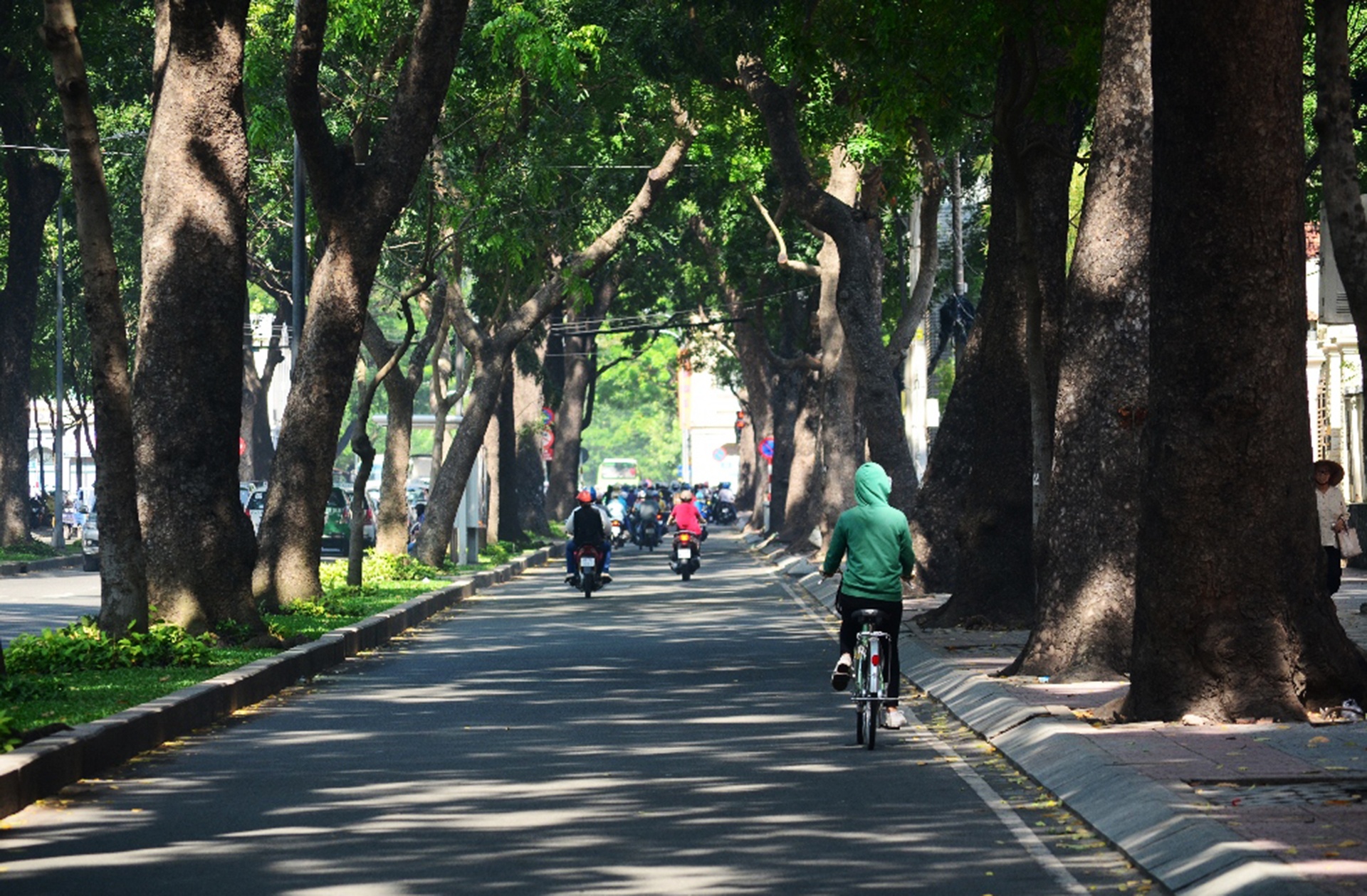 hang cay duong Ton Duc Thang truoc va sau khi don anh 9