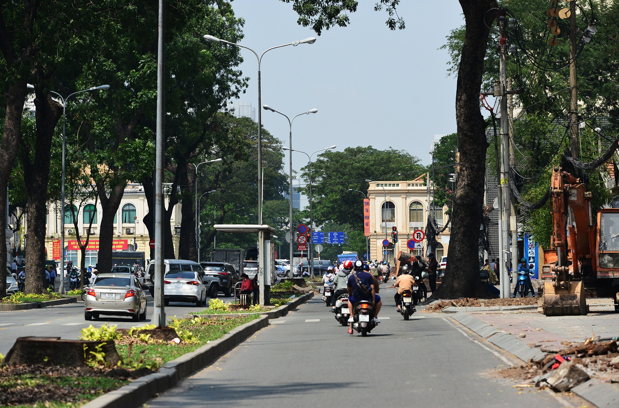 hang cay duong Ton Duc Thang truoc va sau khi don anh 10