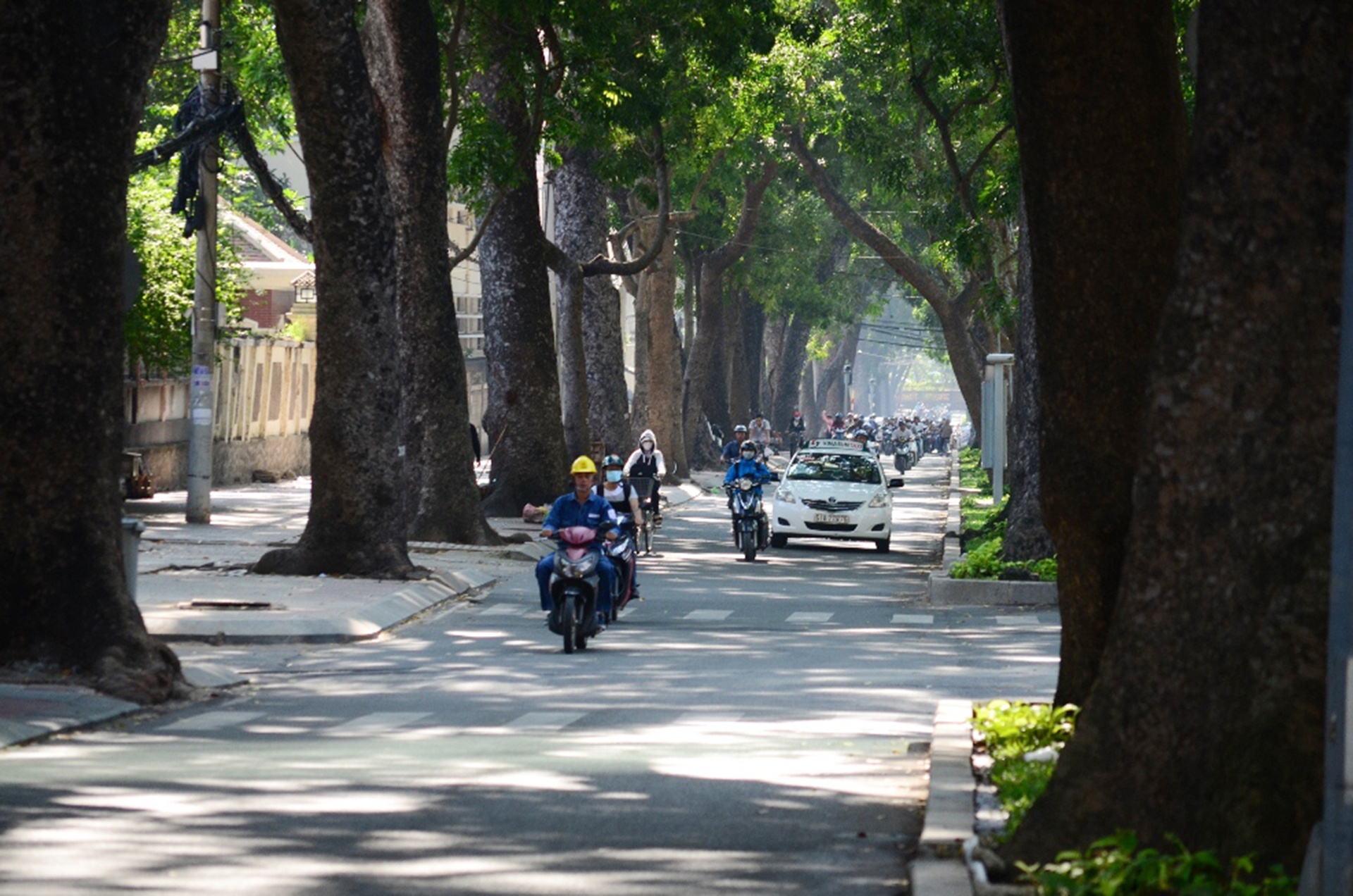 hang cay duong Ton Duc Thang truoc va sau khi don anh 17
