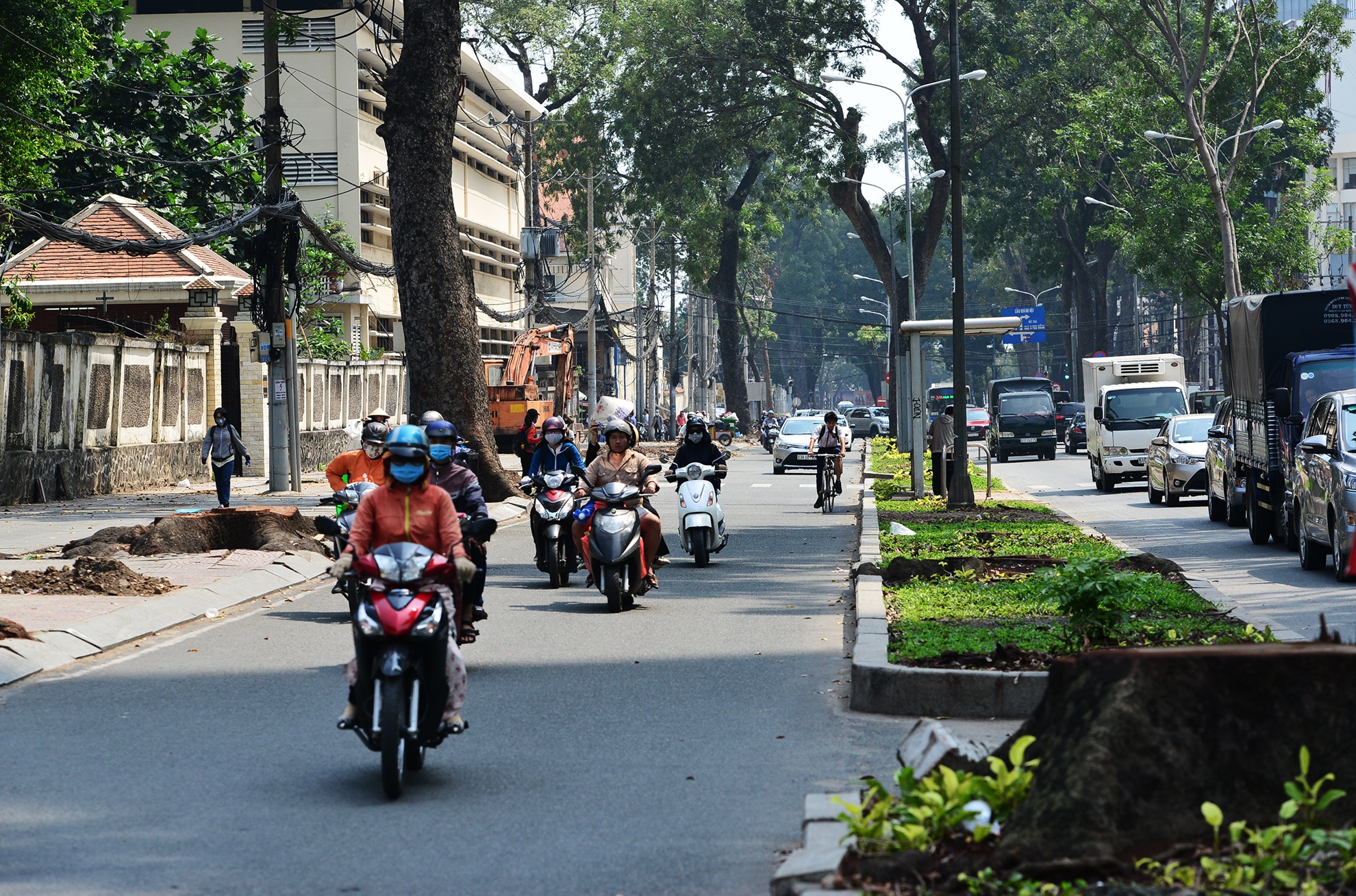 hang cay duong Ton Duc Thang truoc va sau khi don anh 18