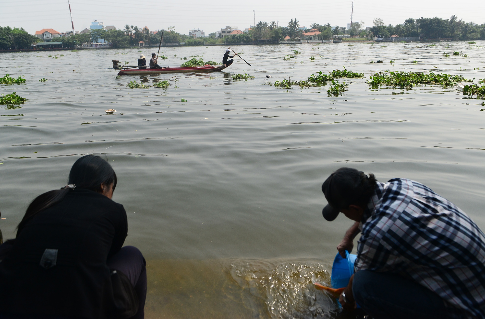 bat ca phong sinh ban ngay truoc cong chua anh 9