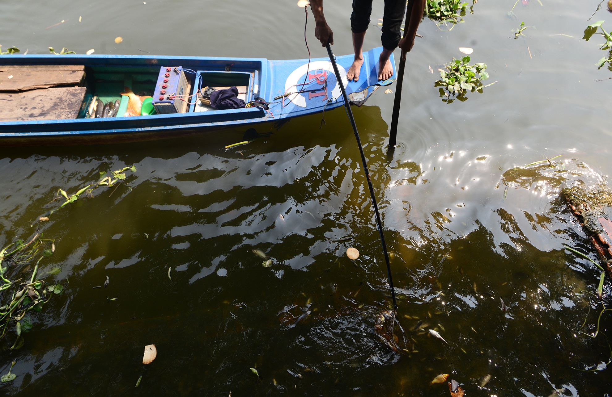 bat ca phong sinh ban ngay truoc cong chua anh 11