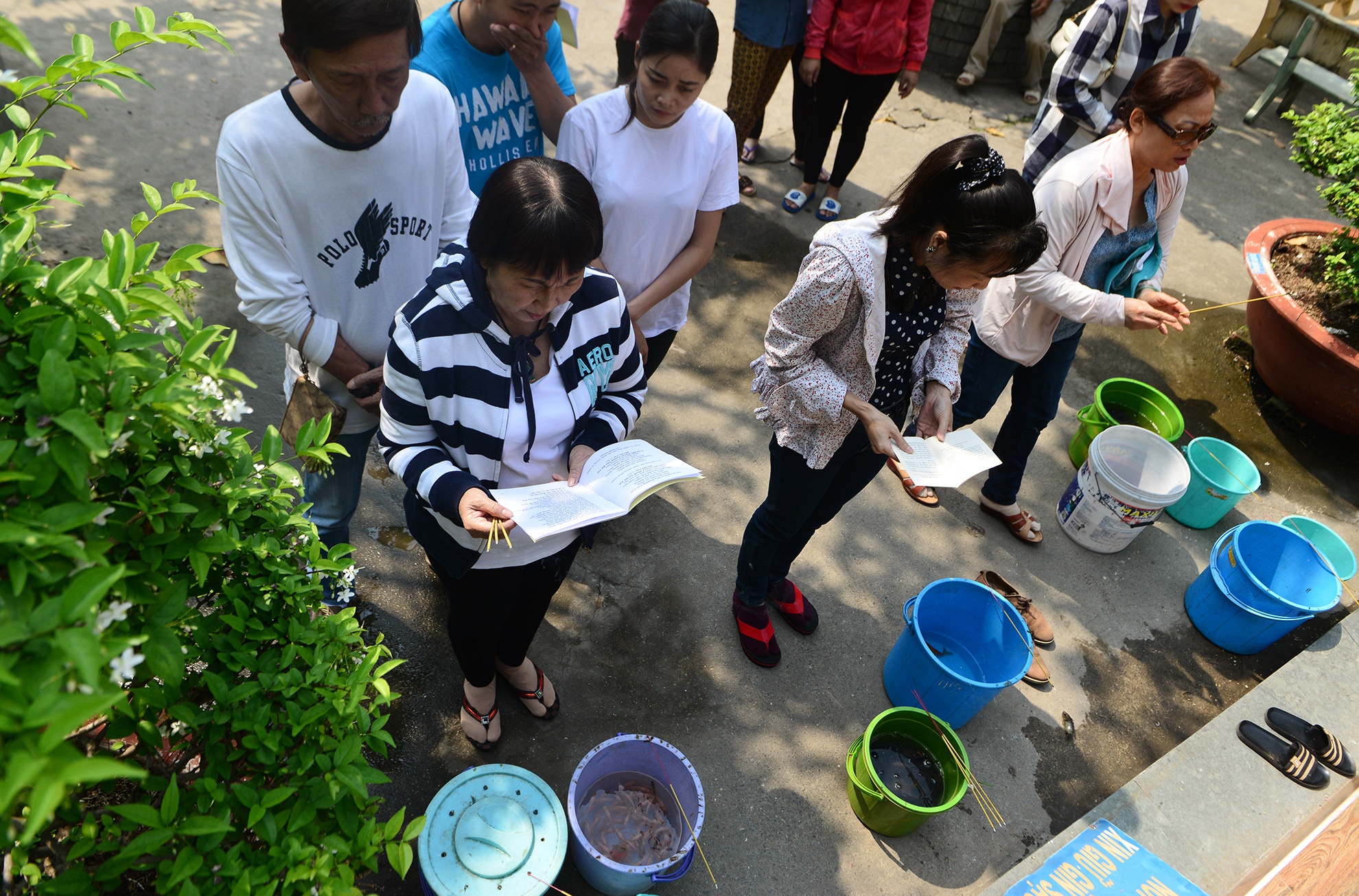 bat ca phong sinh ban ngay truoc cong chua anh 1