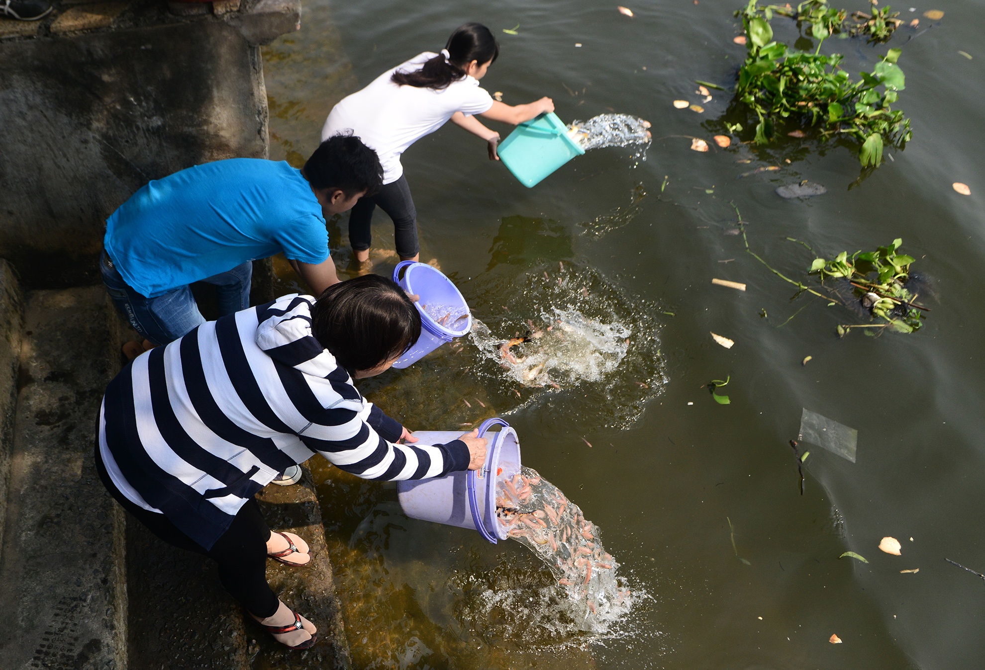 bat ca phong sinh ban ngay truoc cong chua anh 4