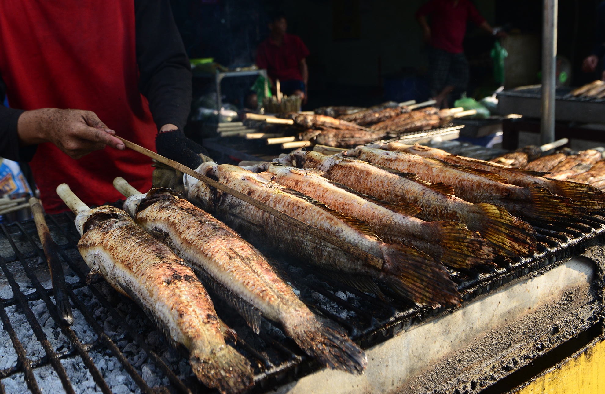 ca loc nuong cung via than tai anh 4