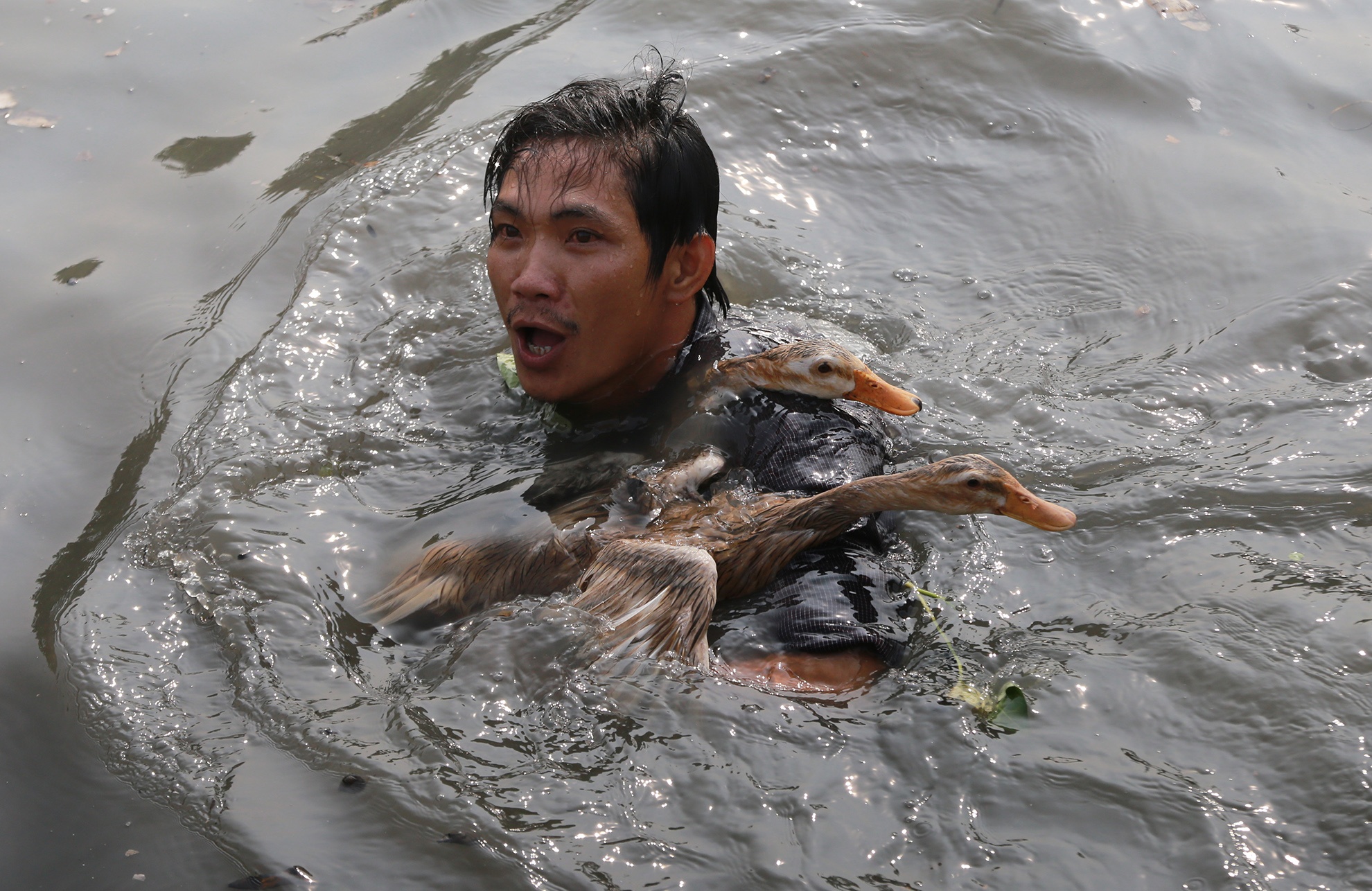 Canh bat vit vui nhon trong le hoi o mien Tay hinh anh