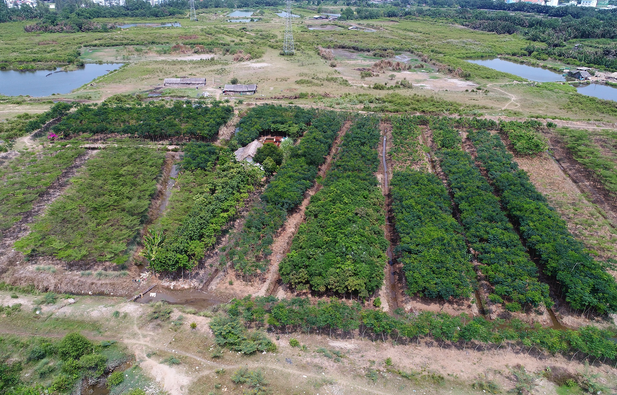 du an Quoc Cuong da rot von hon 5.000 ty dong anh 5