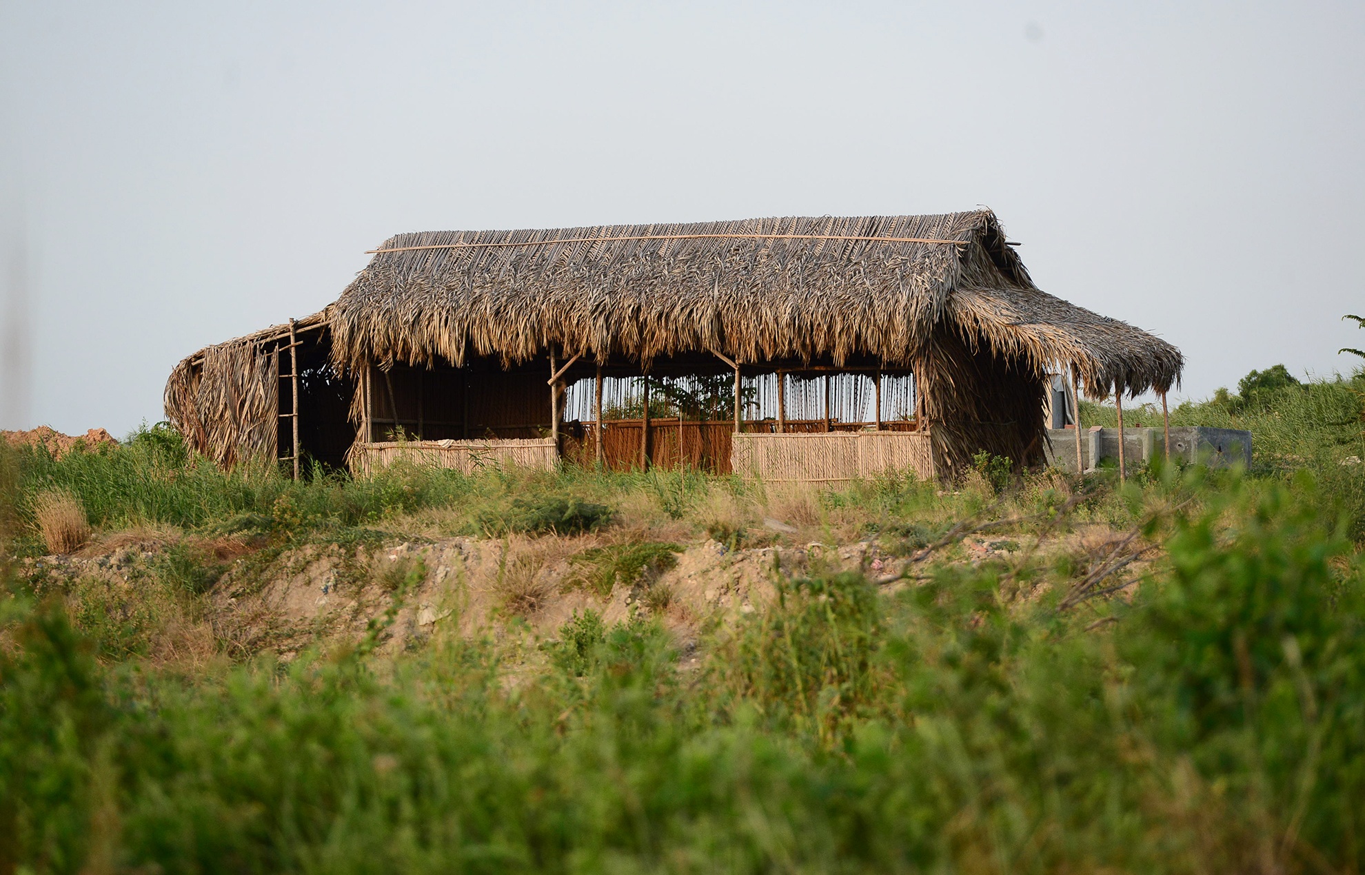 khu dat Cuong do la mua voi gia 1, 29 trieu/m2 anh 7