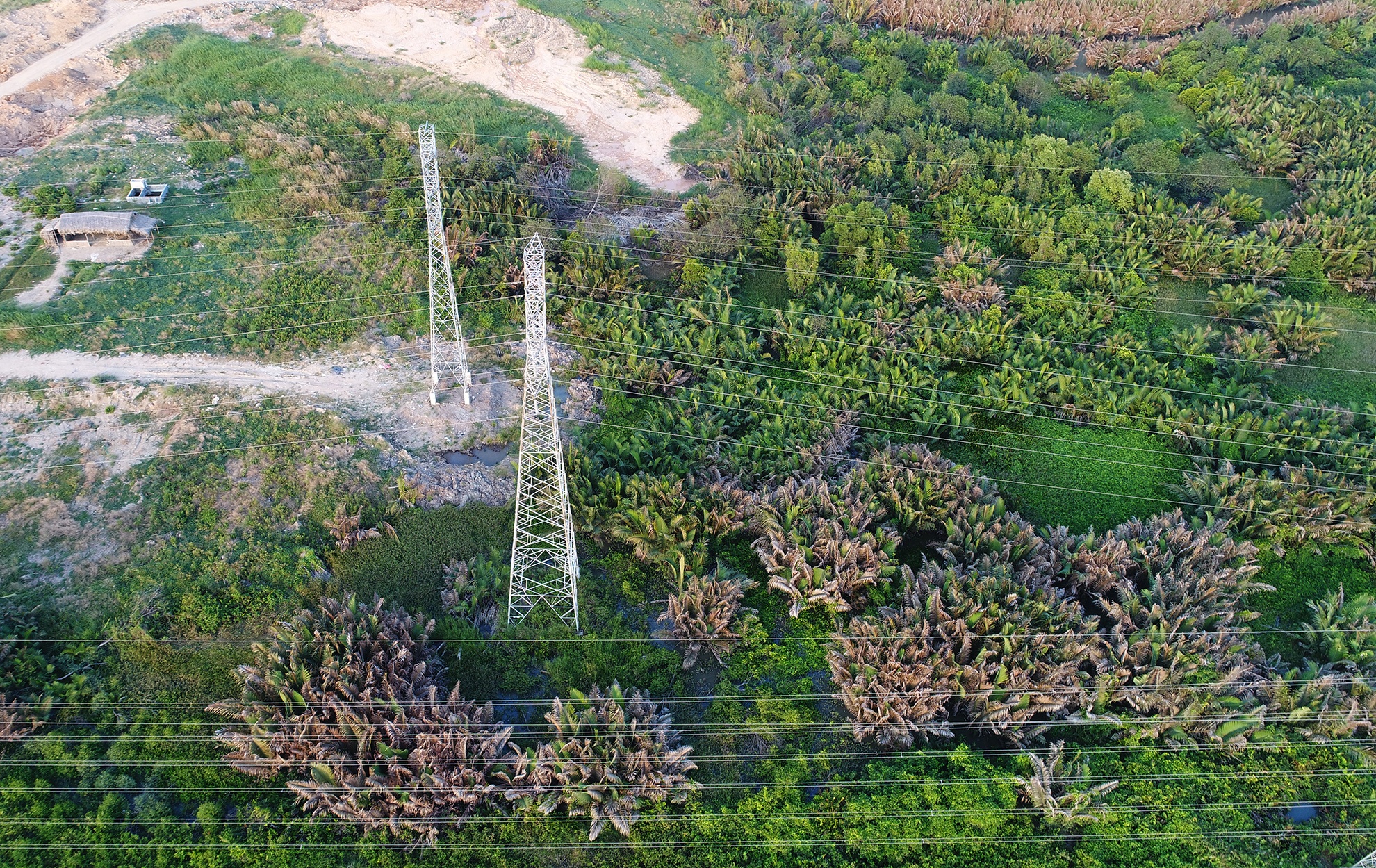 Hai khu dat 'Cuong Do La' mua cua cong ty Tan Thuan nhin tu tren cao hinh anh