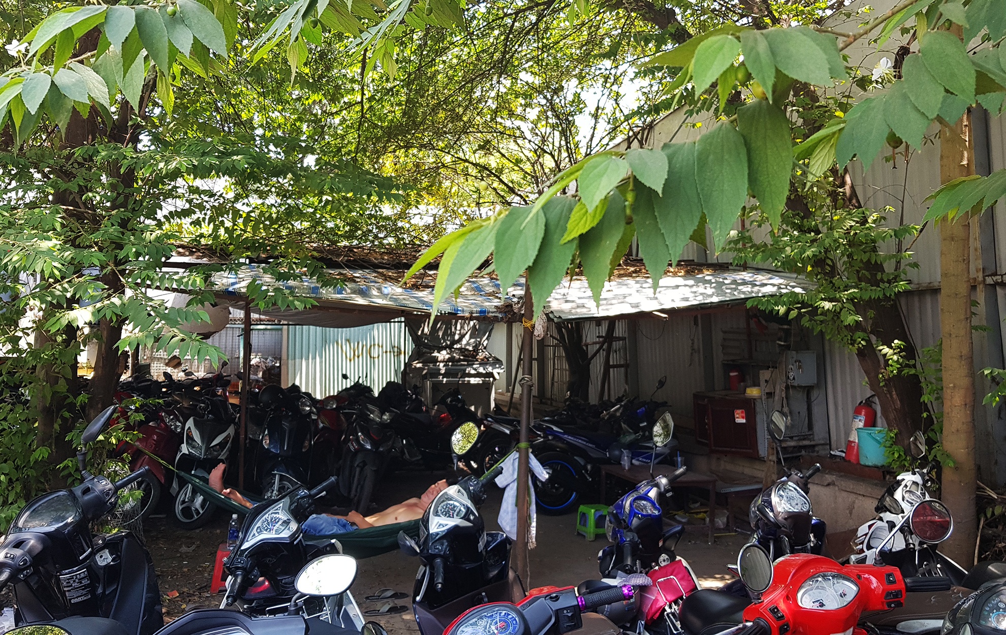 khu dat vang 5.000 m2 vua bi thanh tra o Sai Gon anh 12