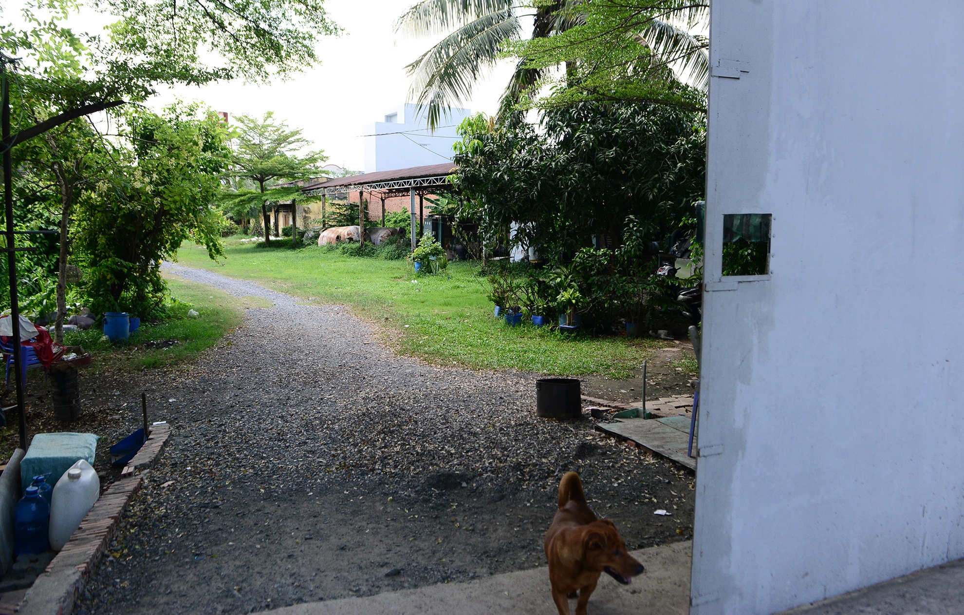 4 khu dat bo hoang ben duong Kinh Duong Vuong anh 12