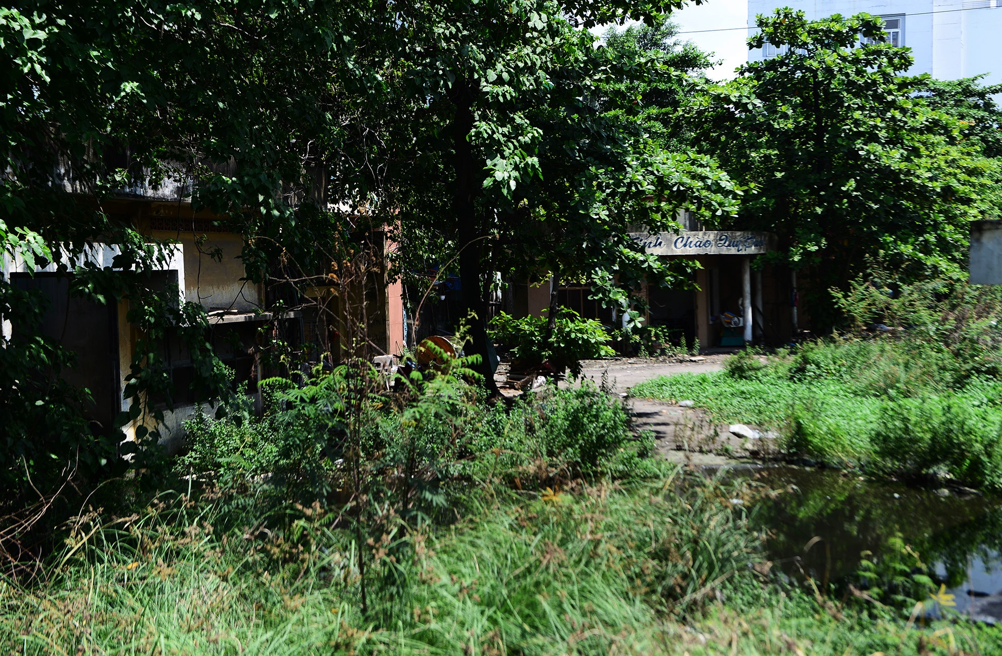 4 khu dat bo hoang ben duong Kinh Duong Vuong anh 7