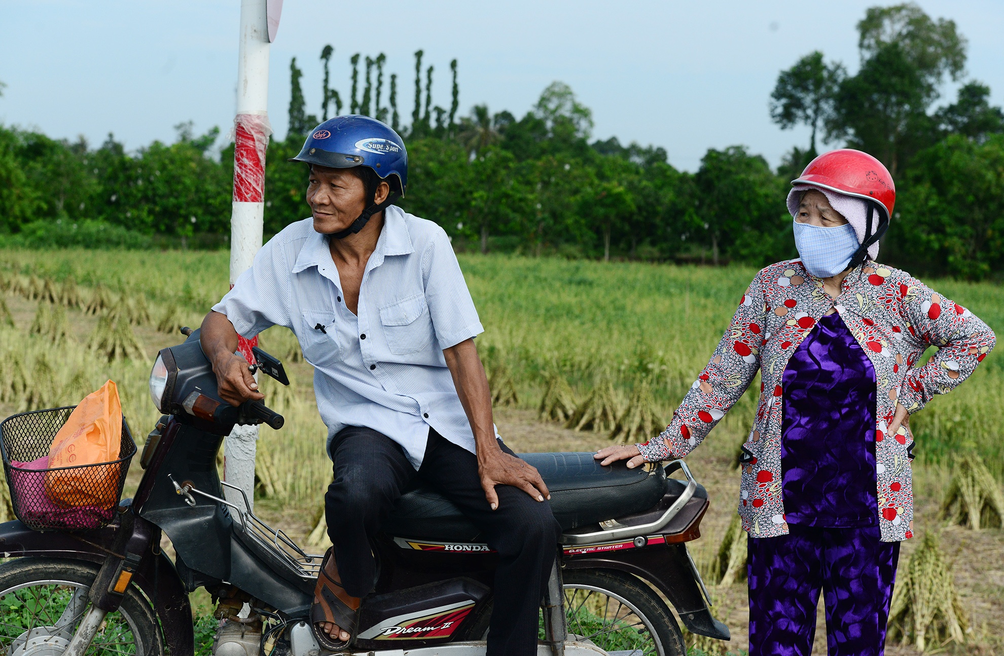 nguoi mien Tay hao huc xem khanh thanh cau anh 2