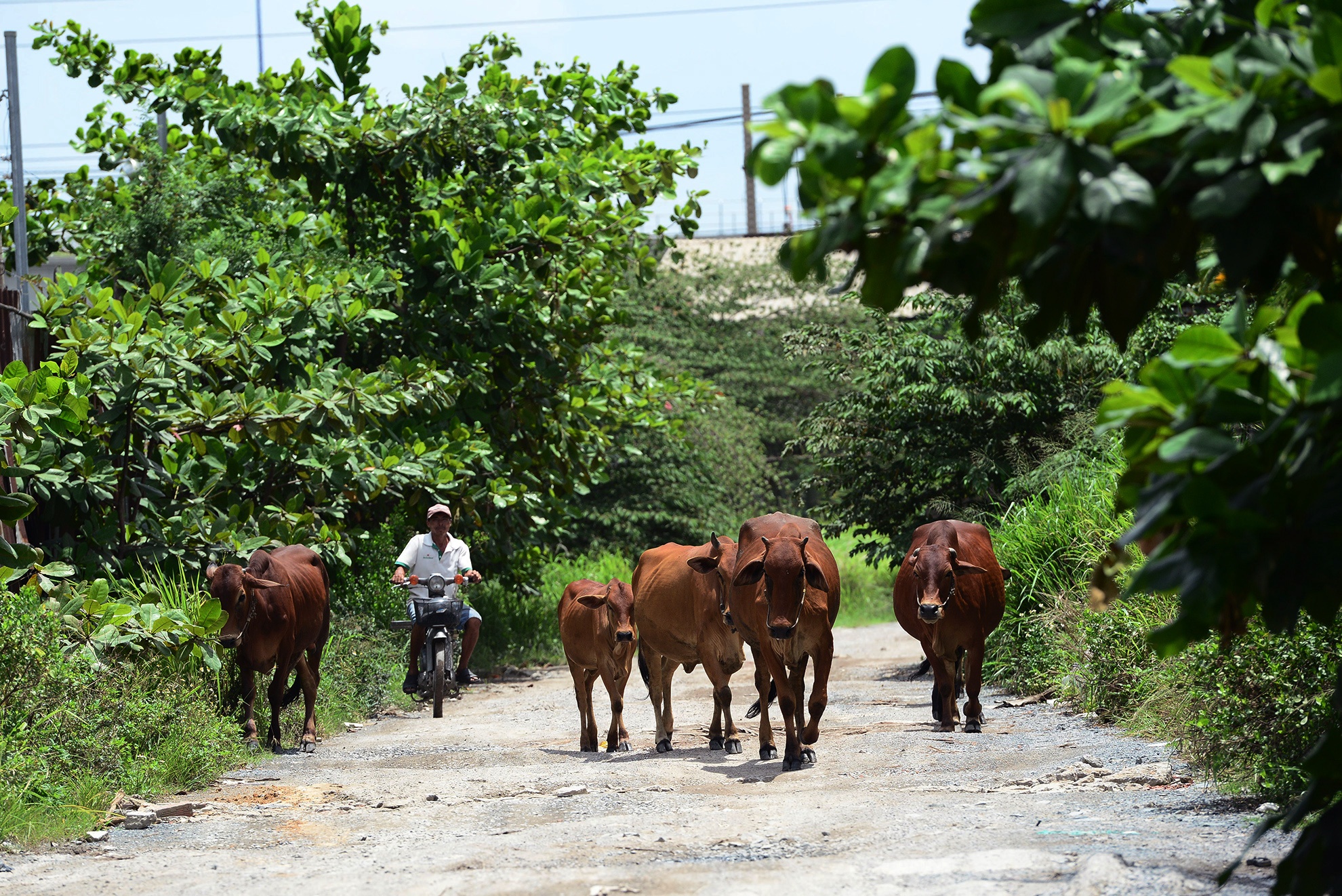 Ben trong KDC Bac Rach Chiec dang bi dieu tra anh 14