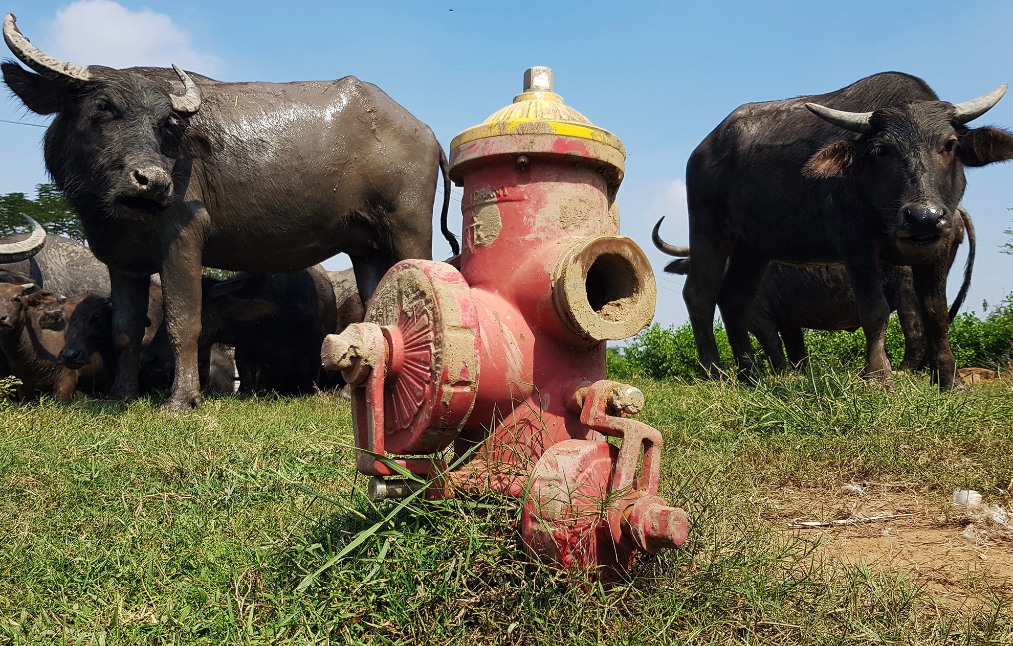 Ben trong KDC Bac Rach Chiec dang bi dieu tra anh 10