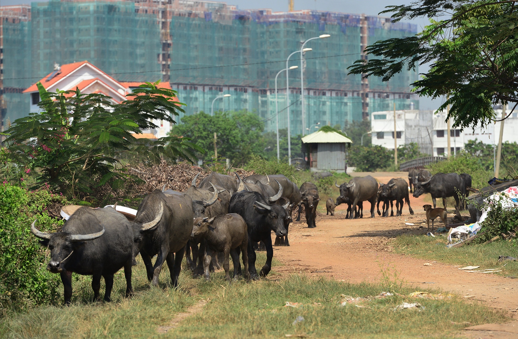 Ben trong KDC Bac Rach Chiec dang bi dieu tra anh 13