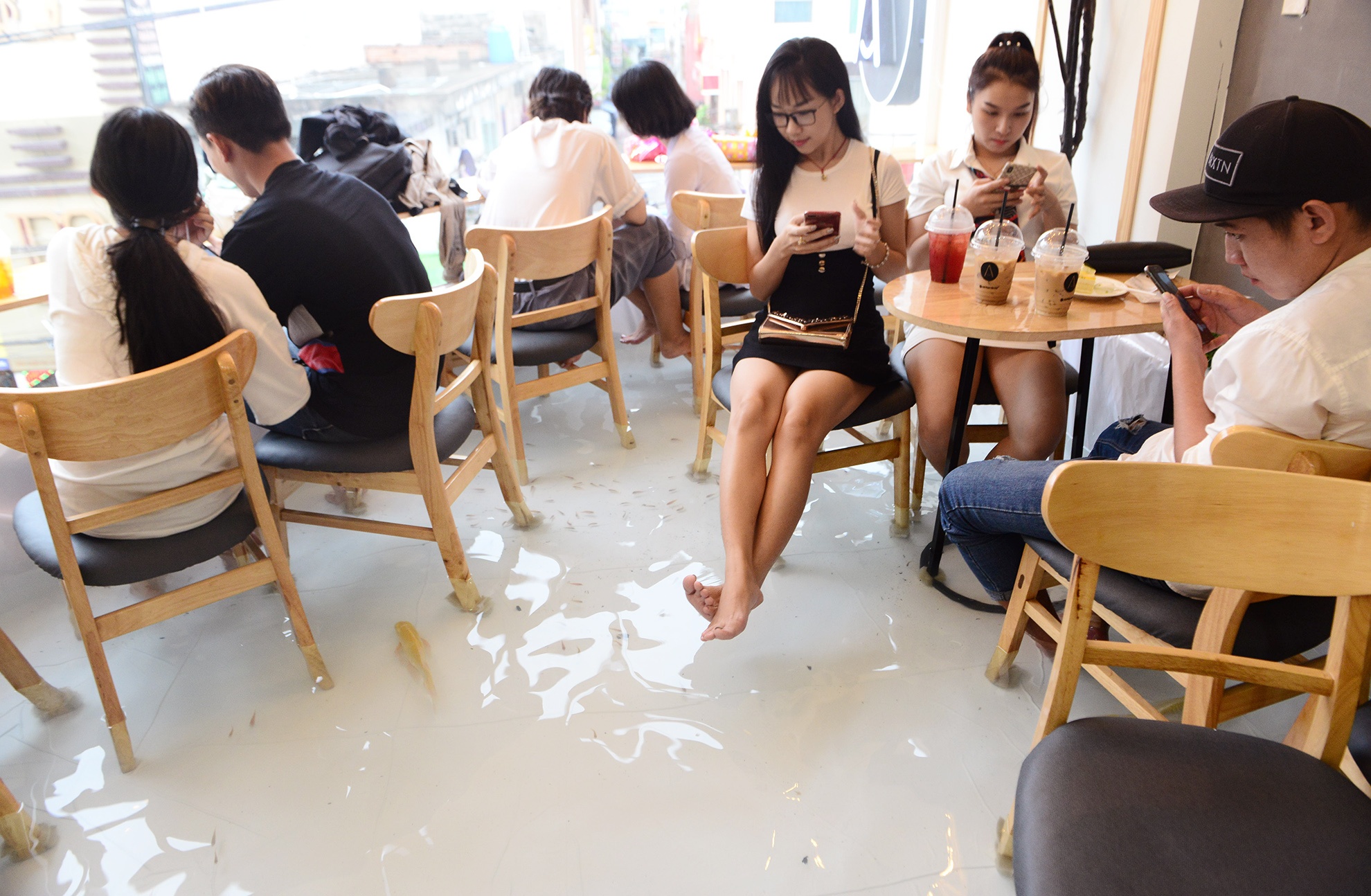 vua uong ca phe vua ngam ca boi loi o Sai Gon anh 10