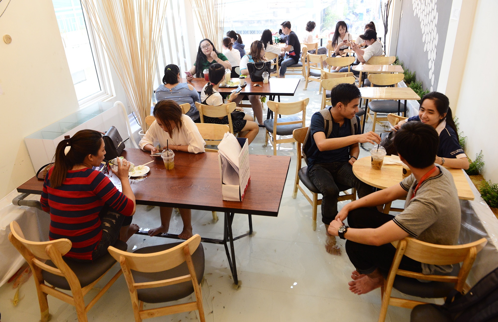 vua uong ca phe vua ngam ca boi loi o Sai Gon anh 2