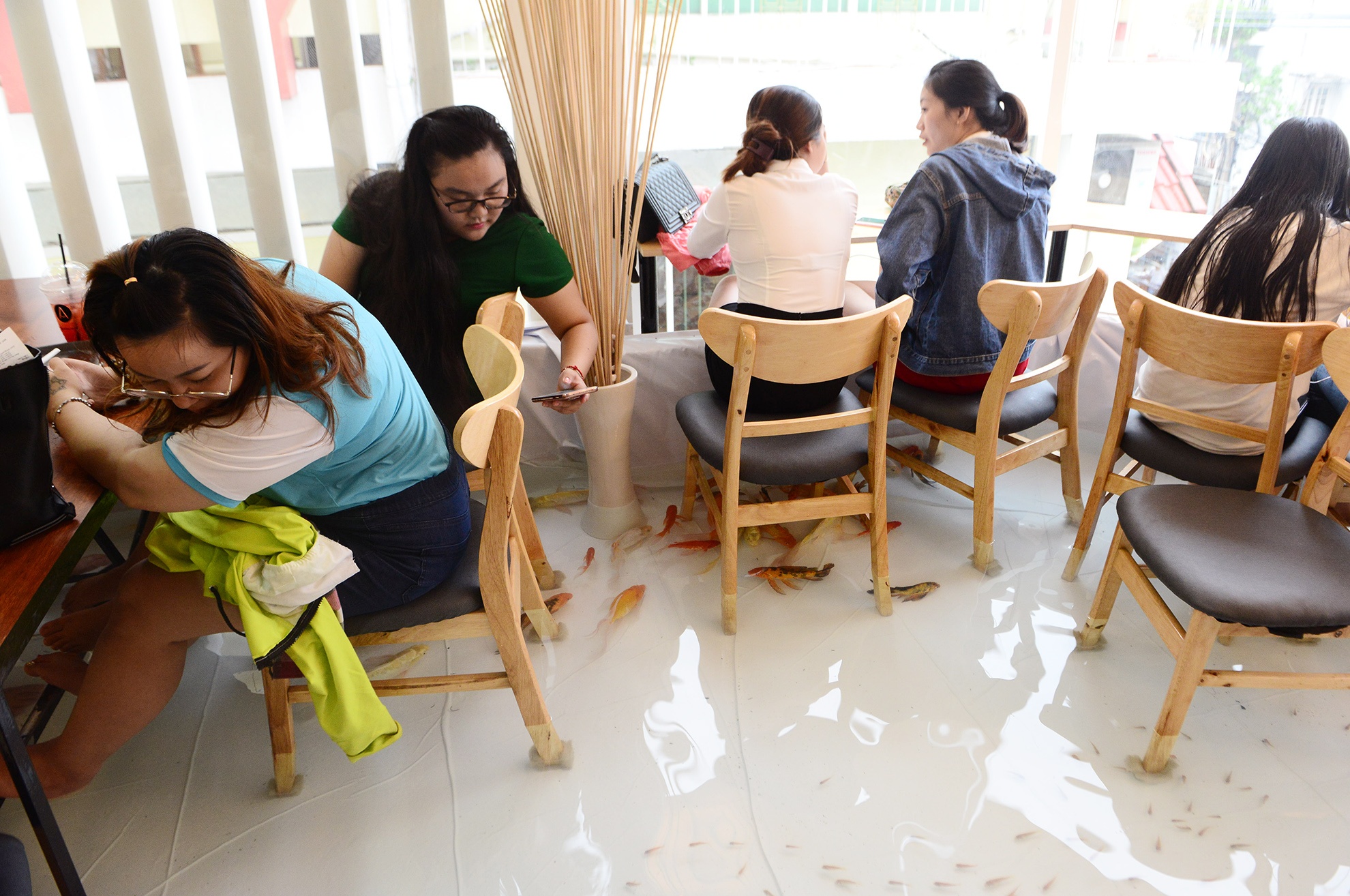 vua uong ca phe vua ngam ca boi loi o Sai Gon anh 7