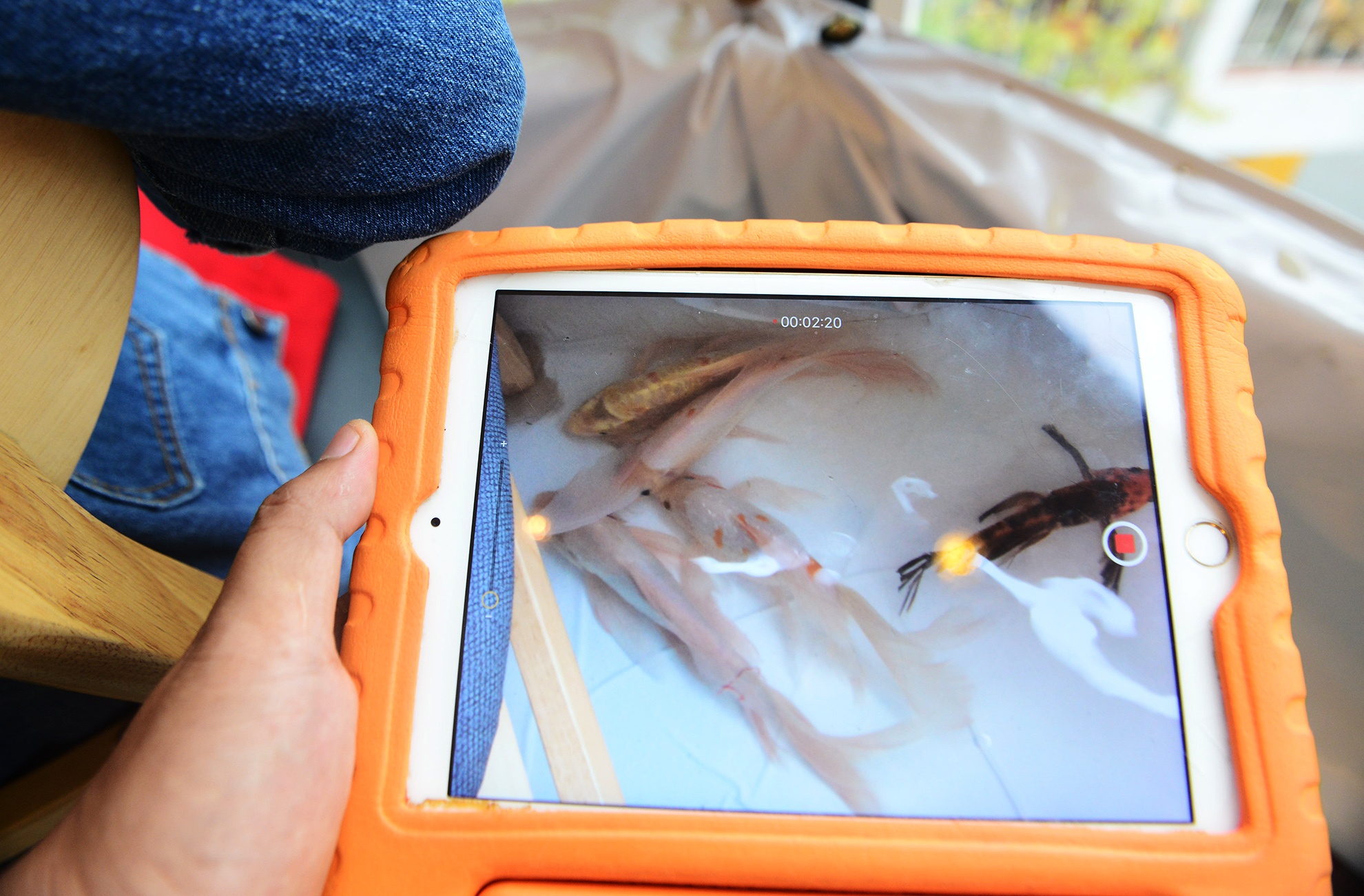 vua uong ca phe vua ngam ca boi loi o Sai Gon anh 8