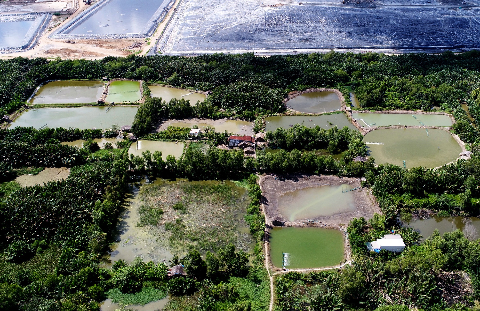 Bai rac Da Phuoc sau 2 nam boc mui hoi o Sai Gon anh 11