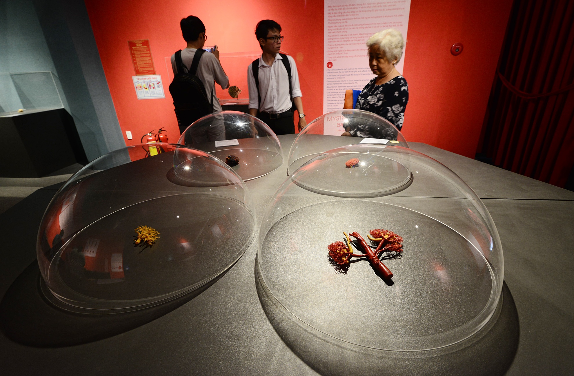 trien lam xac nguoi that day am anh o Sai Gon anh 12