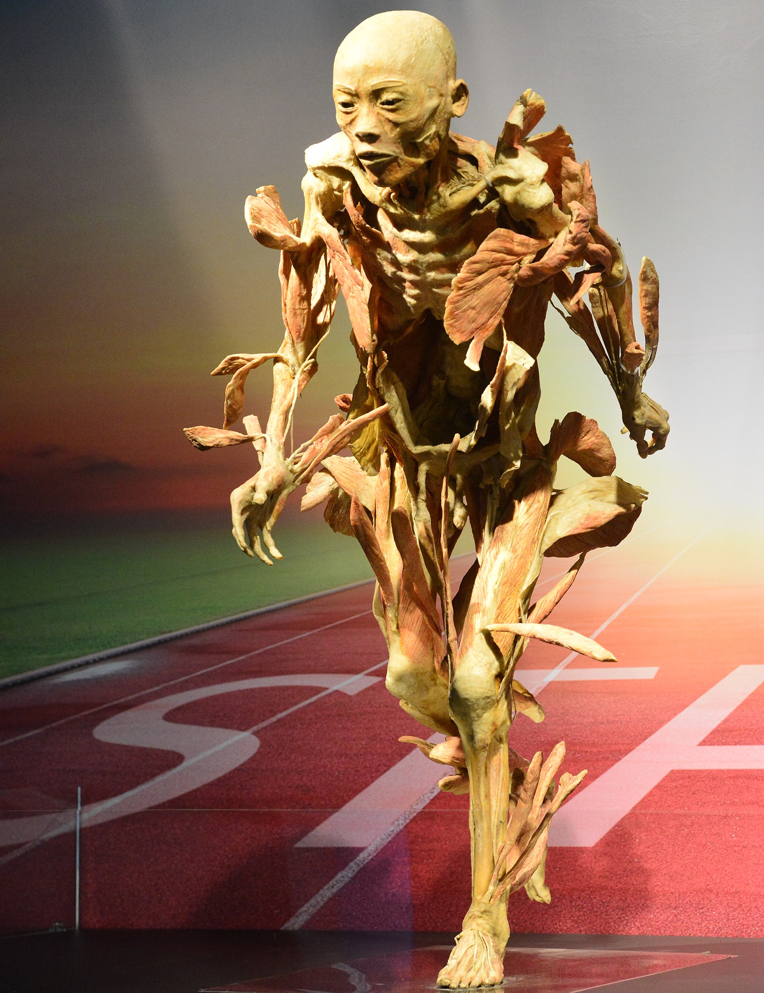 trien lam xac nguoi that day am anh o Sai Gon anh 2