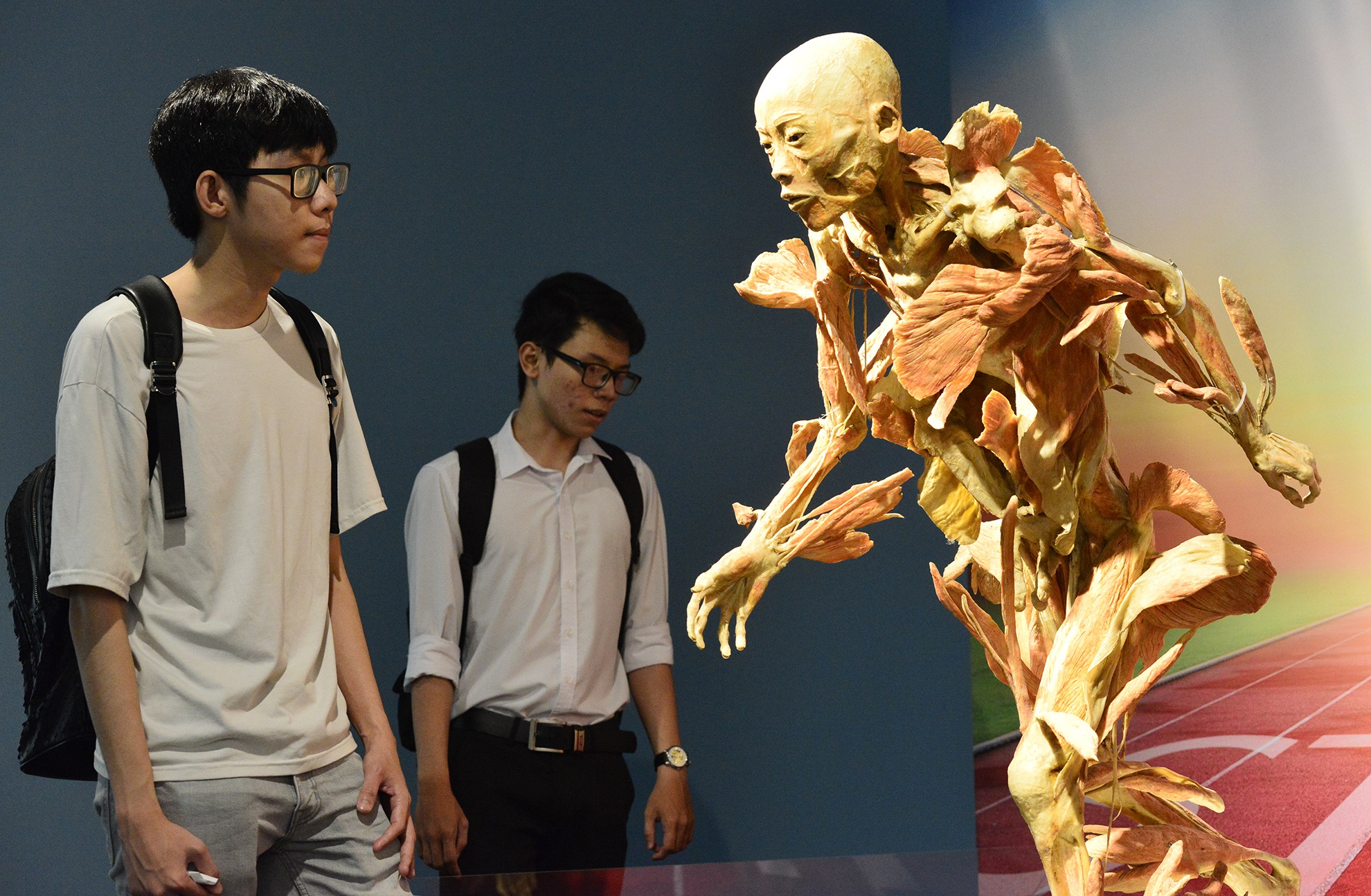 trien lam xac nguoi that day am anh o Sai Gon anh 3