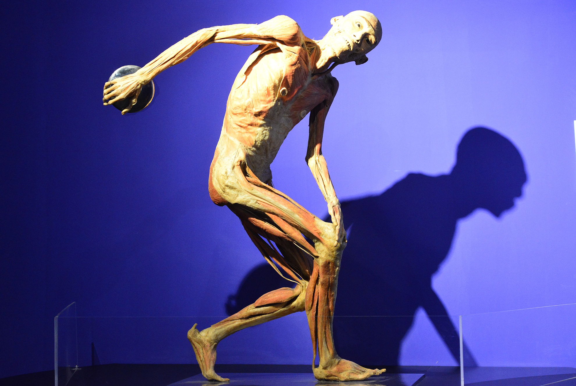 trien lam xac nguoi that day am anh o Sai Gon anh 5